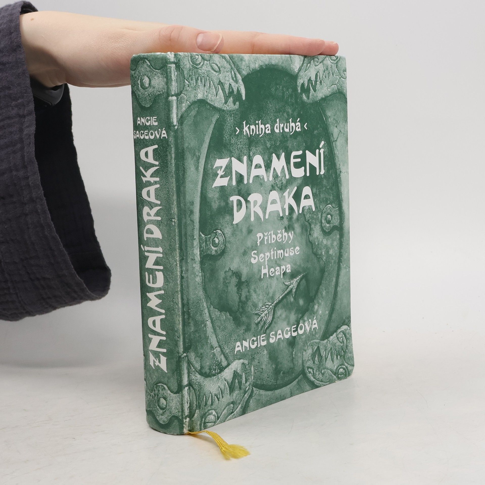 Angie Sage Znamení draka