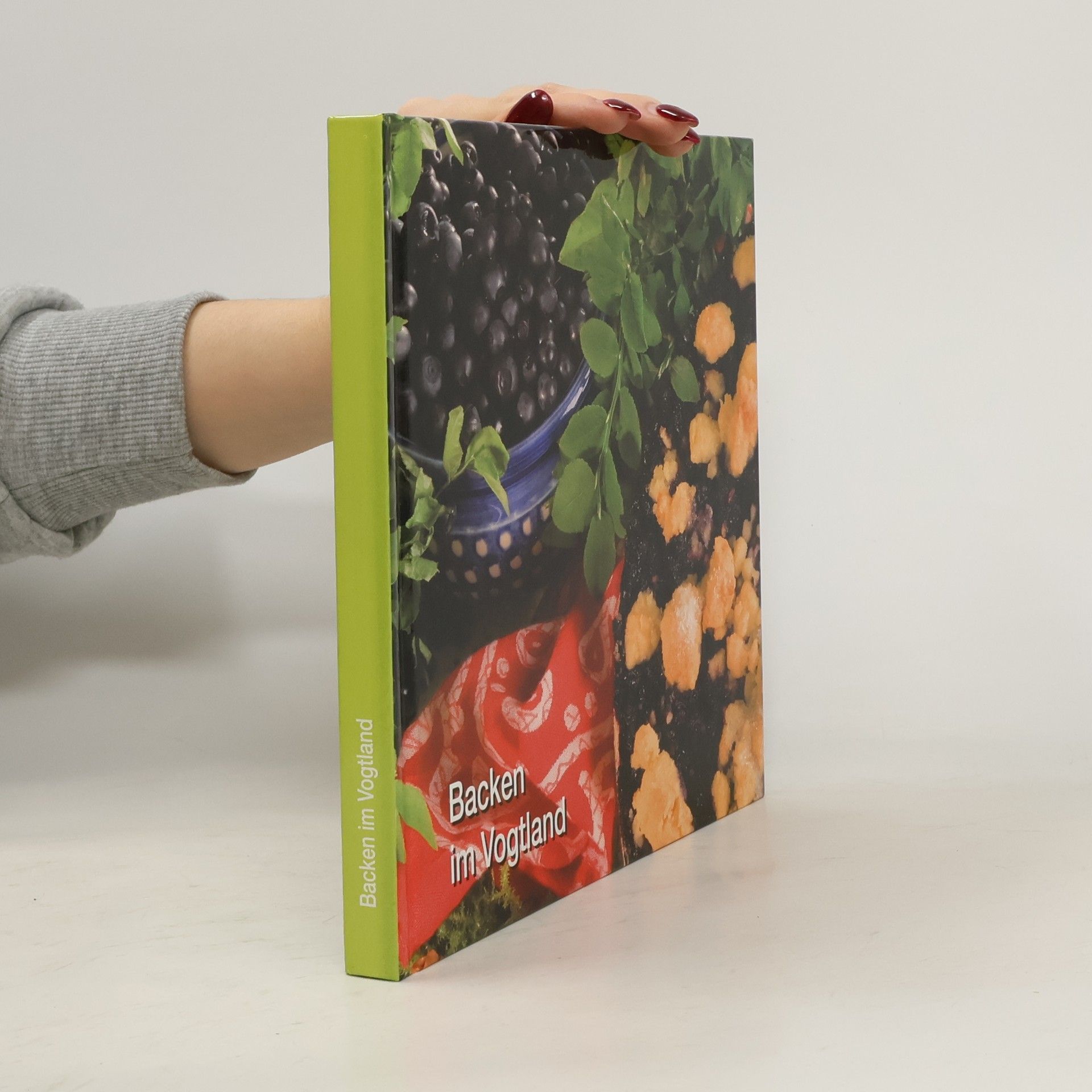Kolektiv autorů Backen im Vogtland
