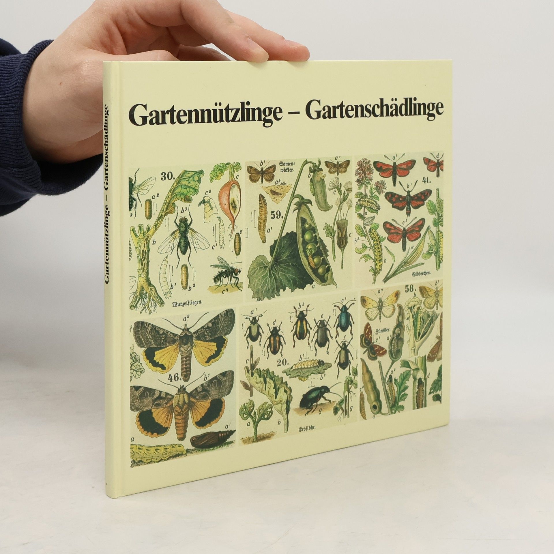 Willi Votteler Gartennützlinge - Gartenschädlinge