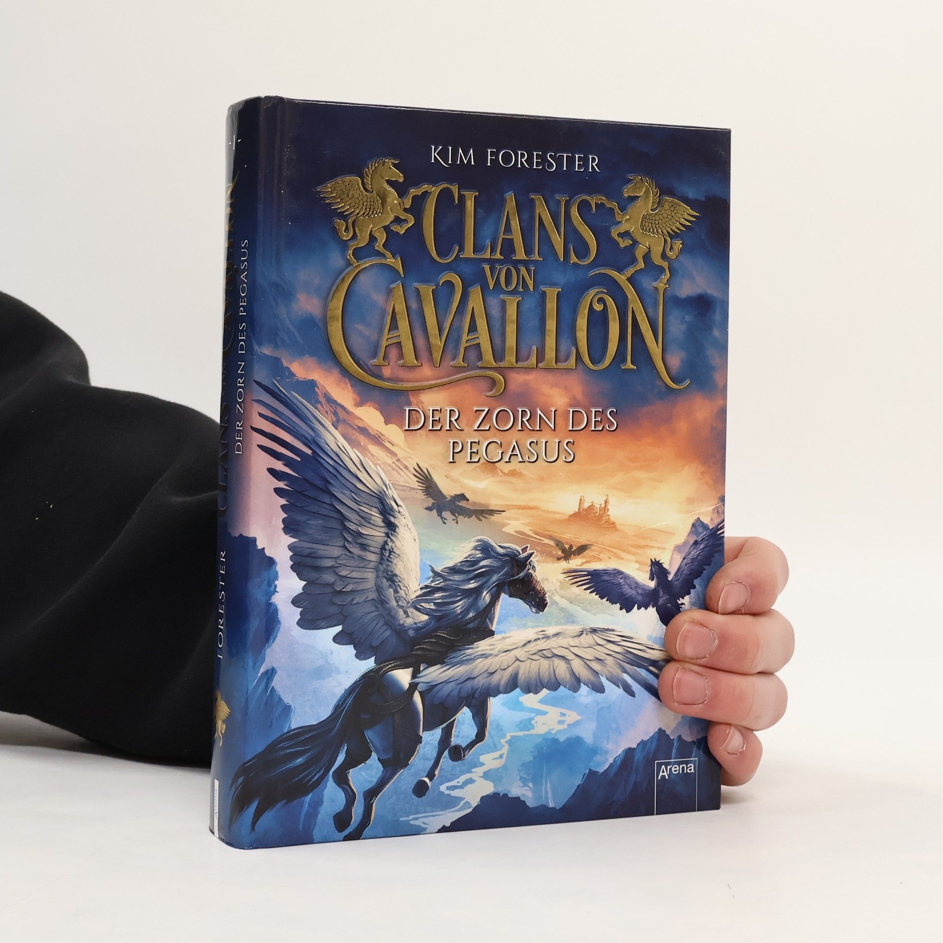 Kim Forester Der Zorn des Pegasus