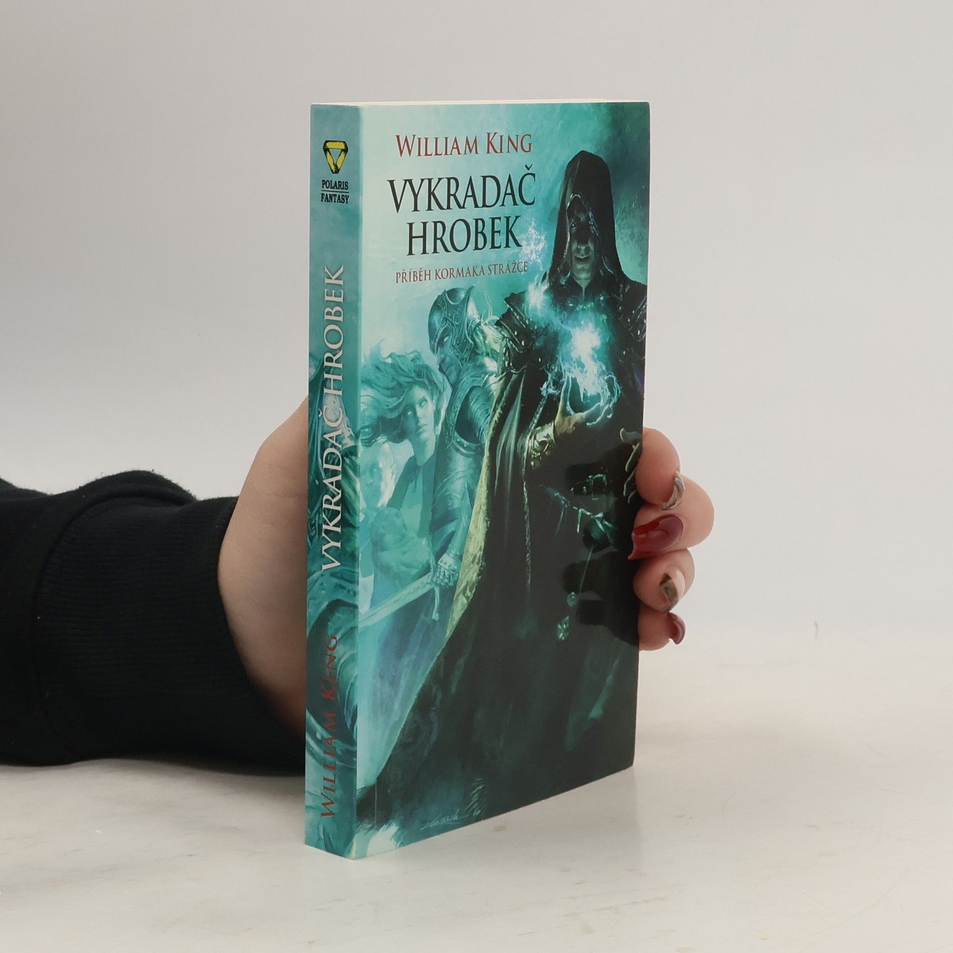 William King Vykradač hrobek