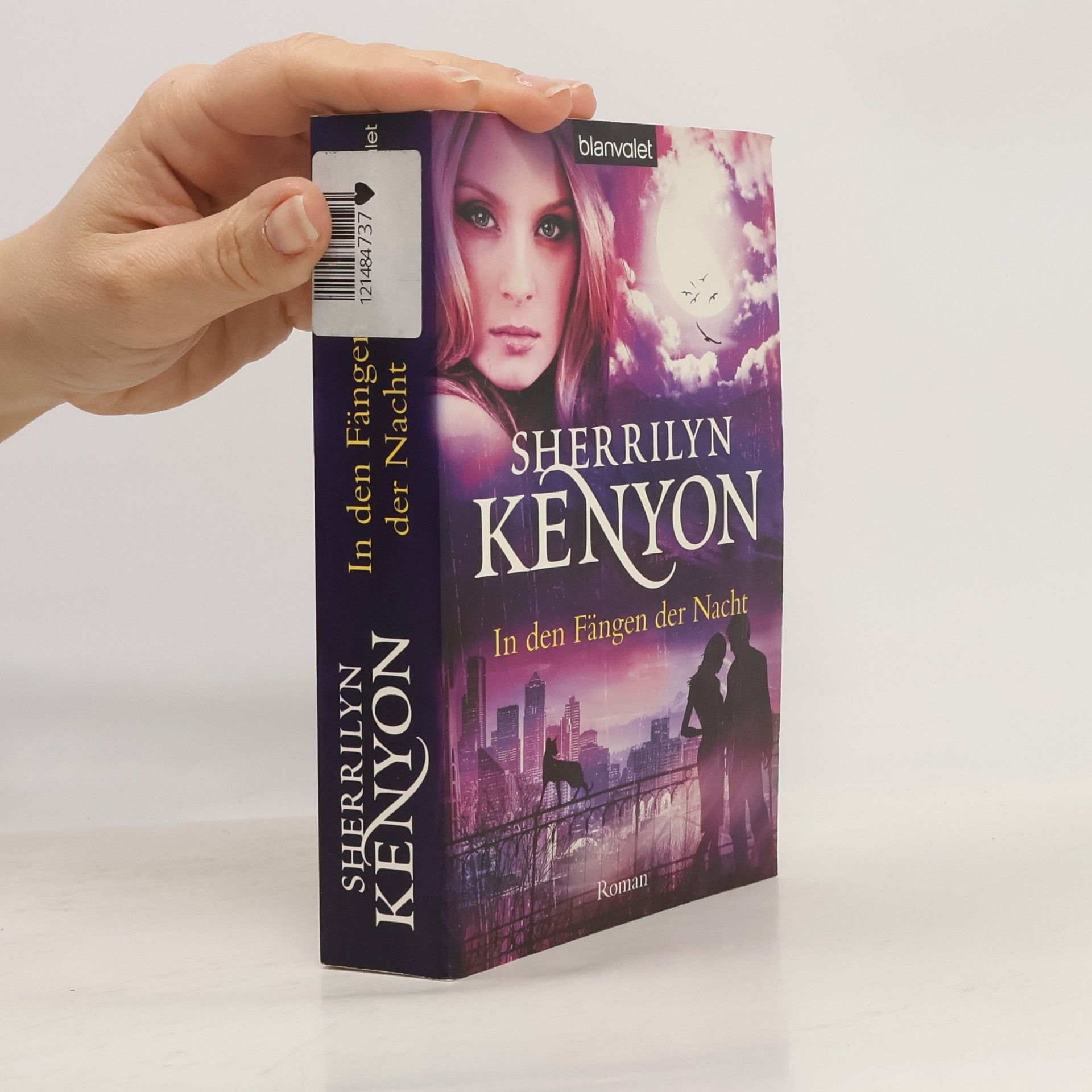 Kinley MacGregor In den Fängen der Nacht