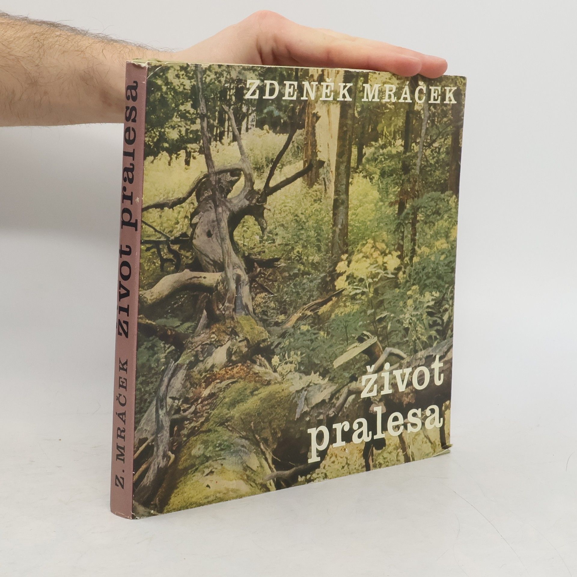 Zdeněk Mráček Život pralesa