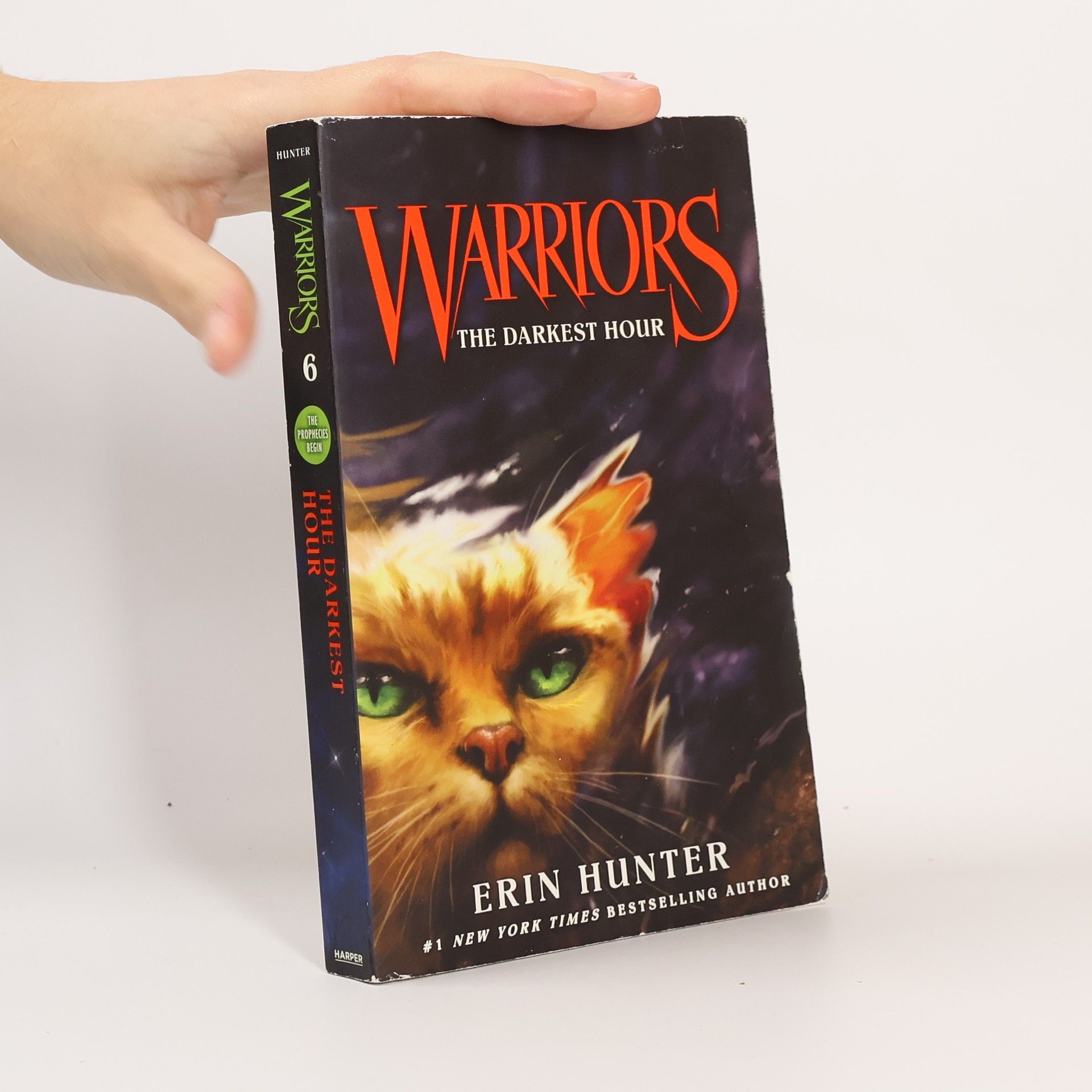 Erin Hunter Warriors, The Darkest Hour