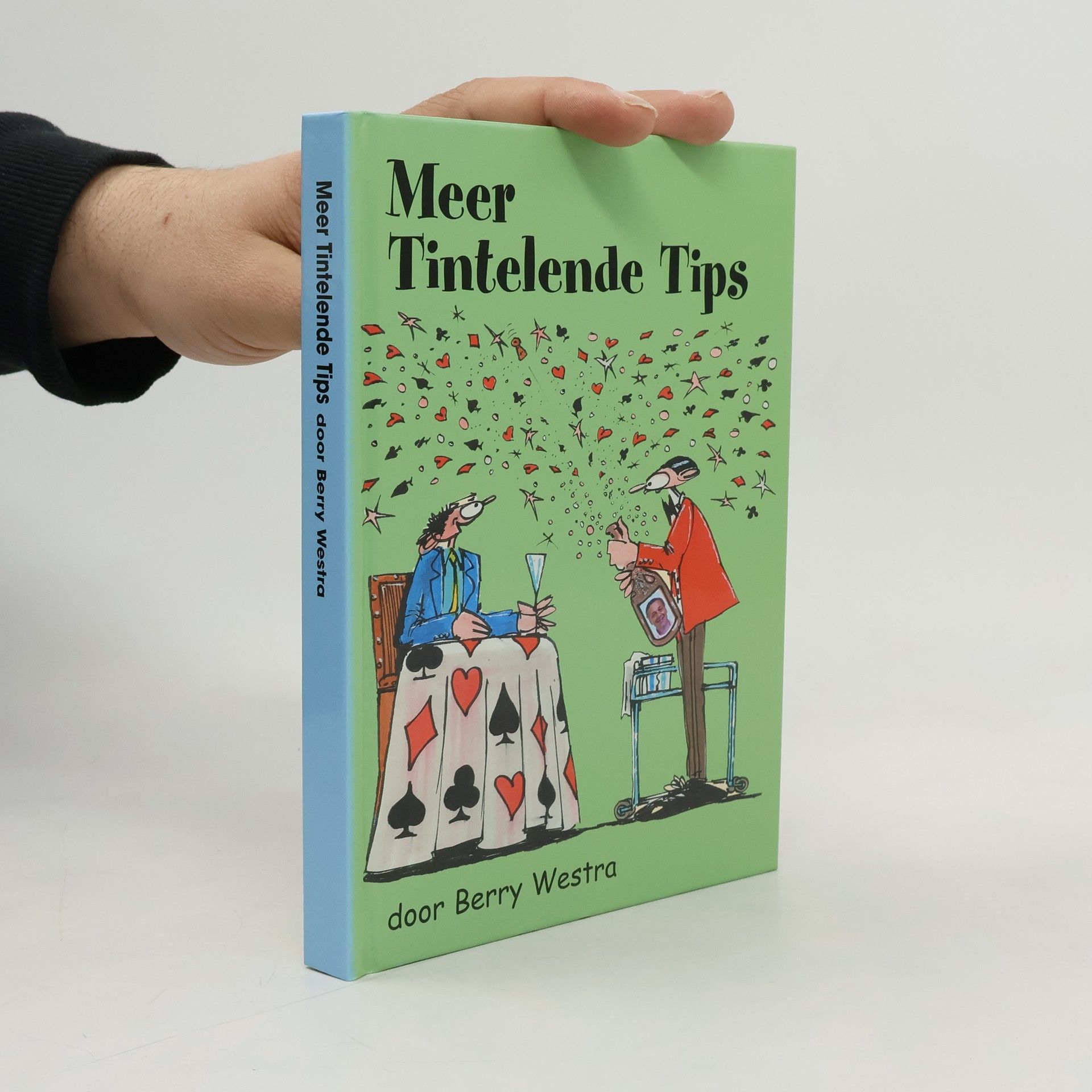 Berry Westra Meer tintelende tips