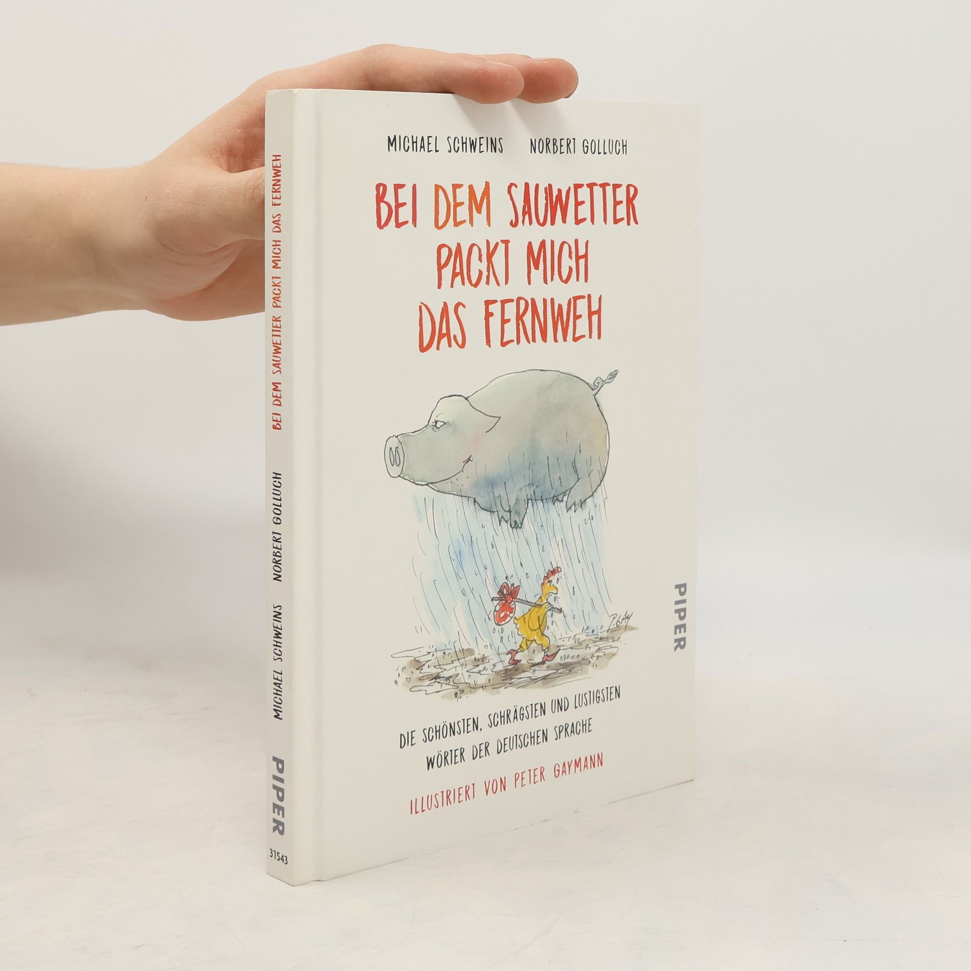 Michael Schweins Bei dem Sauwetter packt mich das Fernweh