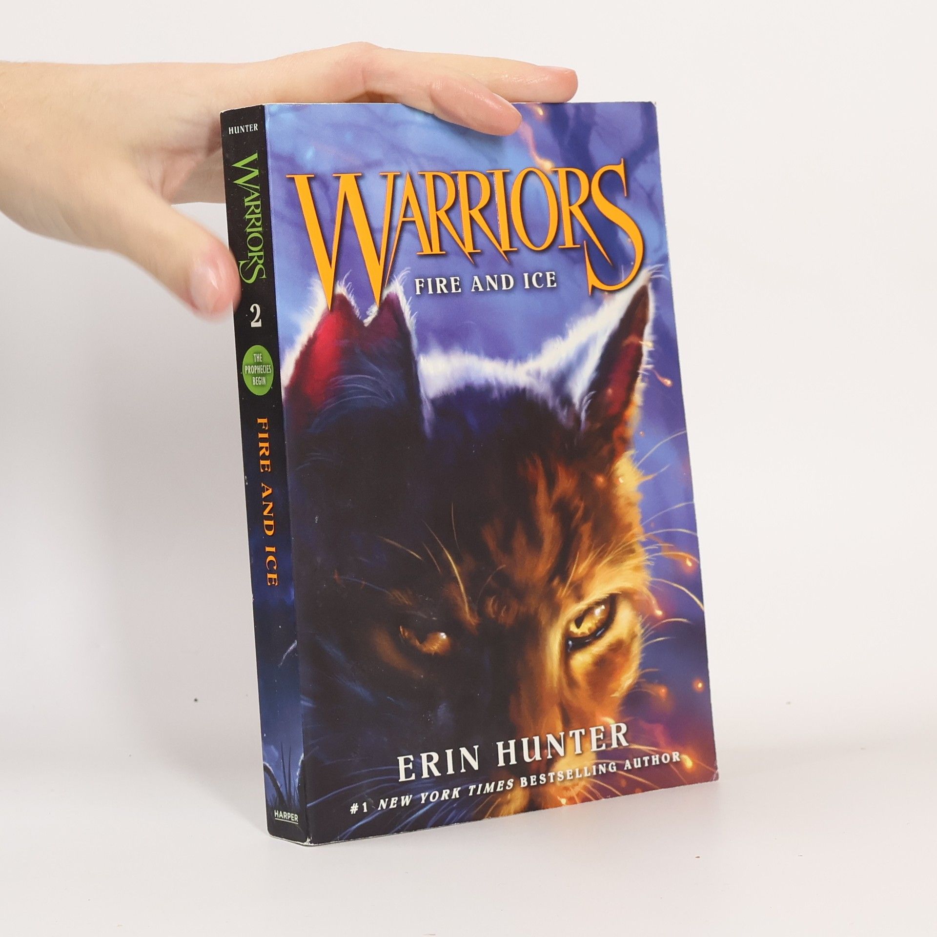 Warriors, Fire and Ice