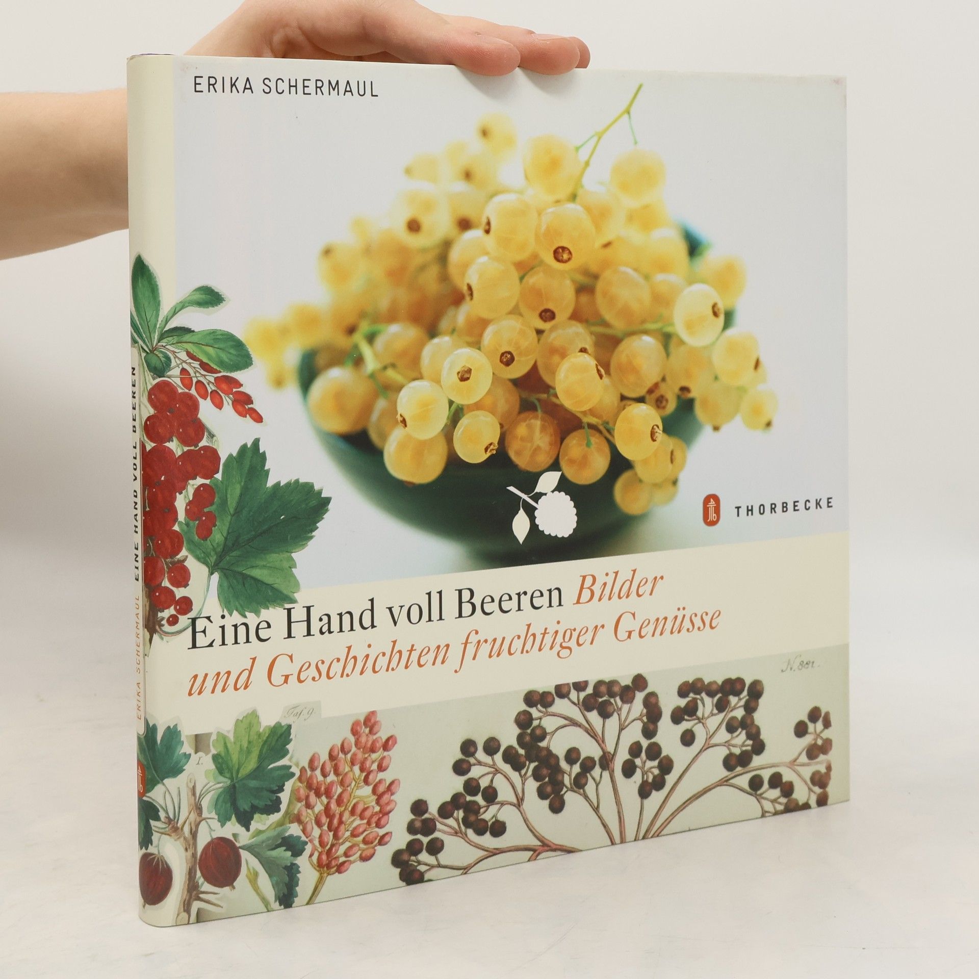 Erika Schermaul Eine Hand voll Beeren