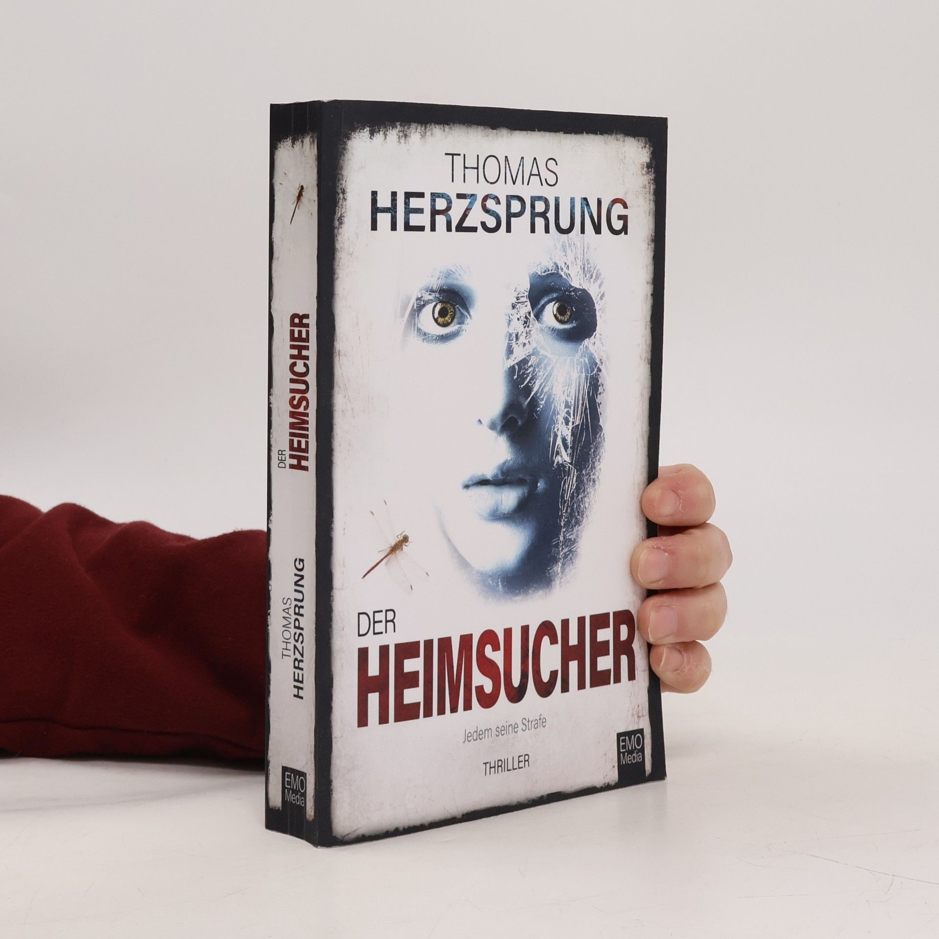 Thomas Herzsprung Der Heimsucher - Jedem seine Strafe