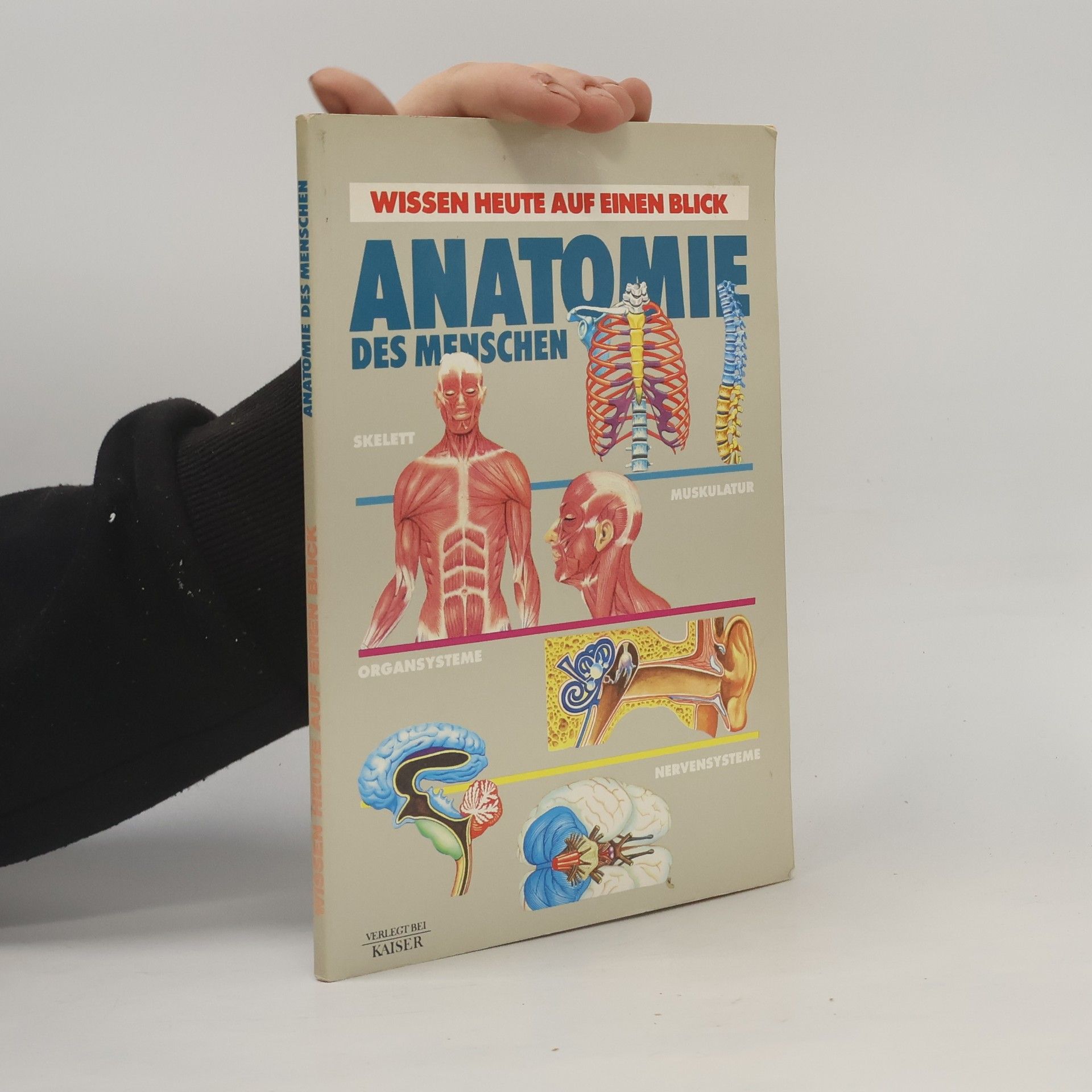 Kolektiv autorů Anatomie des menschen