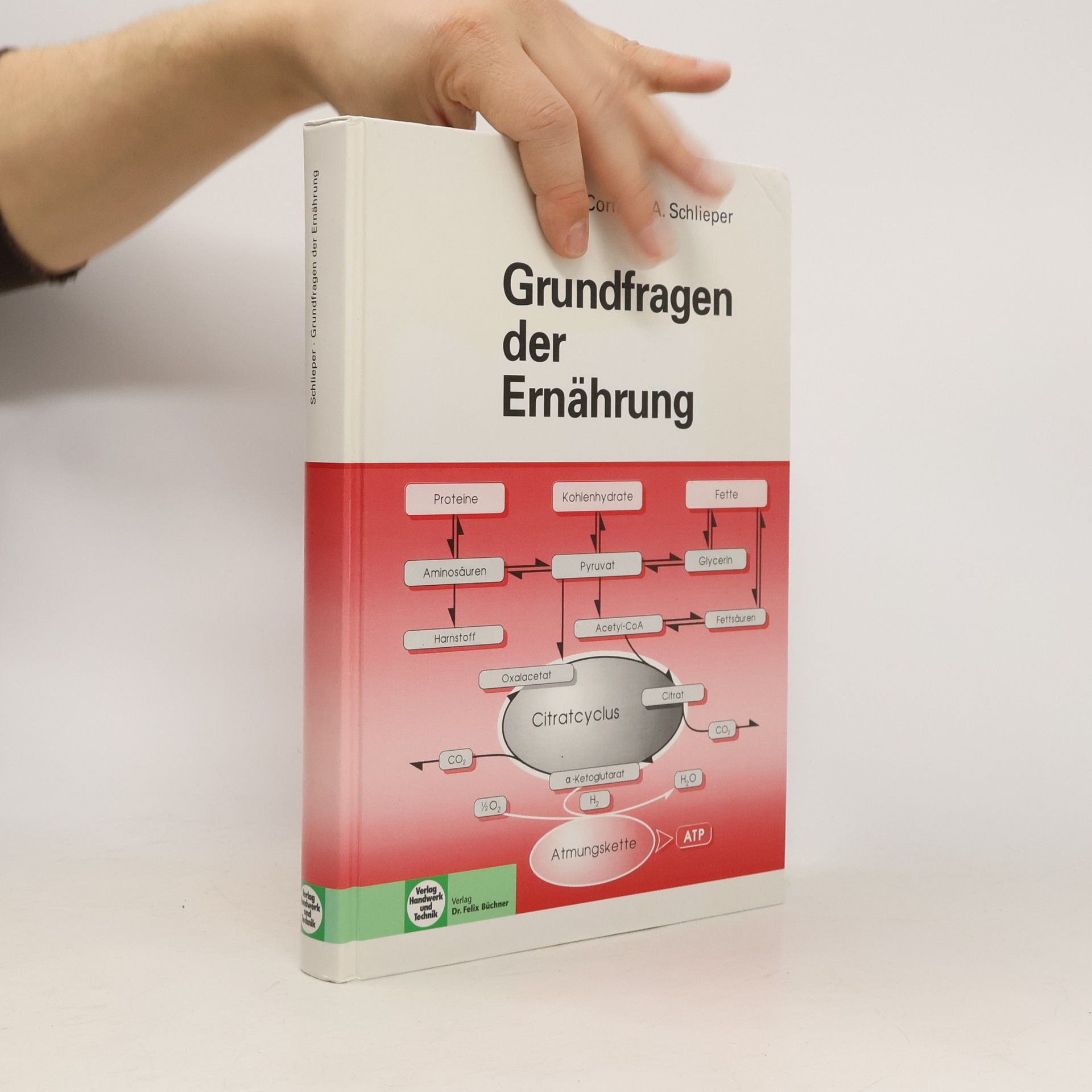 Cornelia A. Schlieper Grundfragen der Ernährung