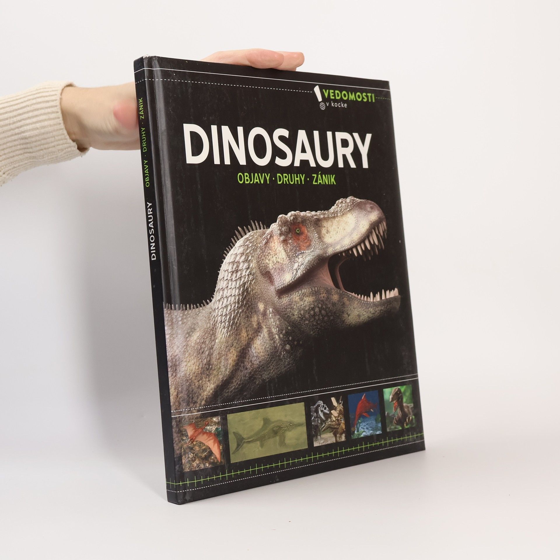 Collectif d'auteurs Dinosaury