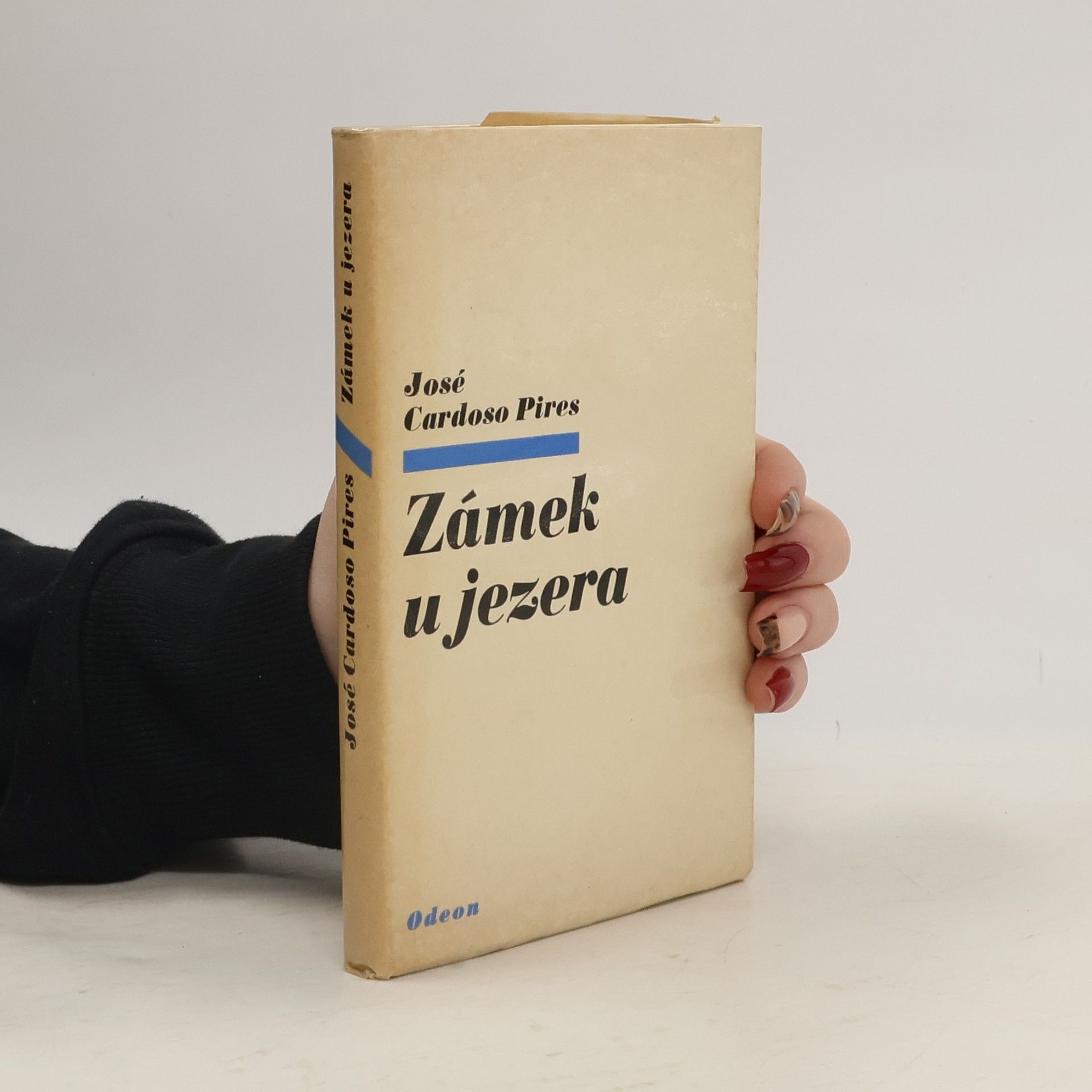 José Cardosa Pires Zámek u jezera