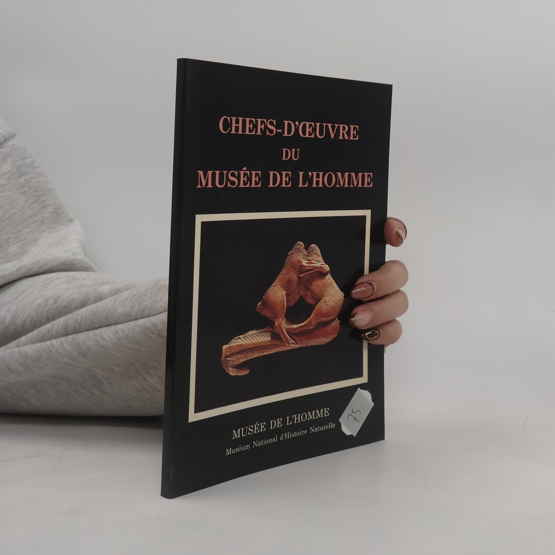 Kolektiv autorů Chefs-d'oeuvre du Musée de l'homme.