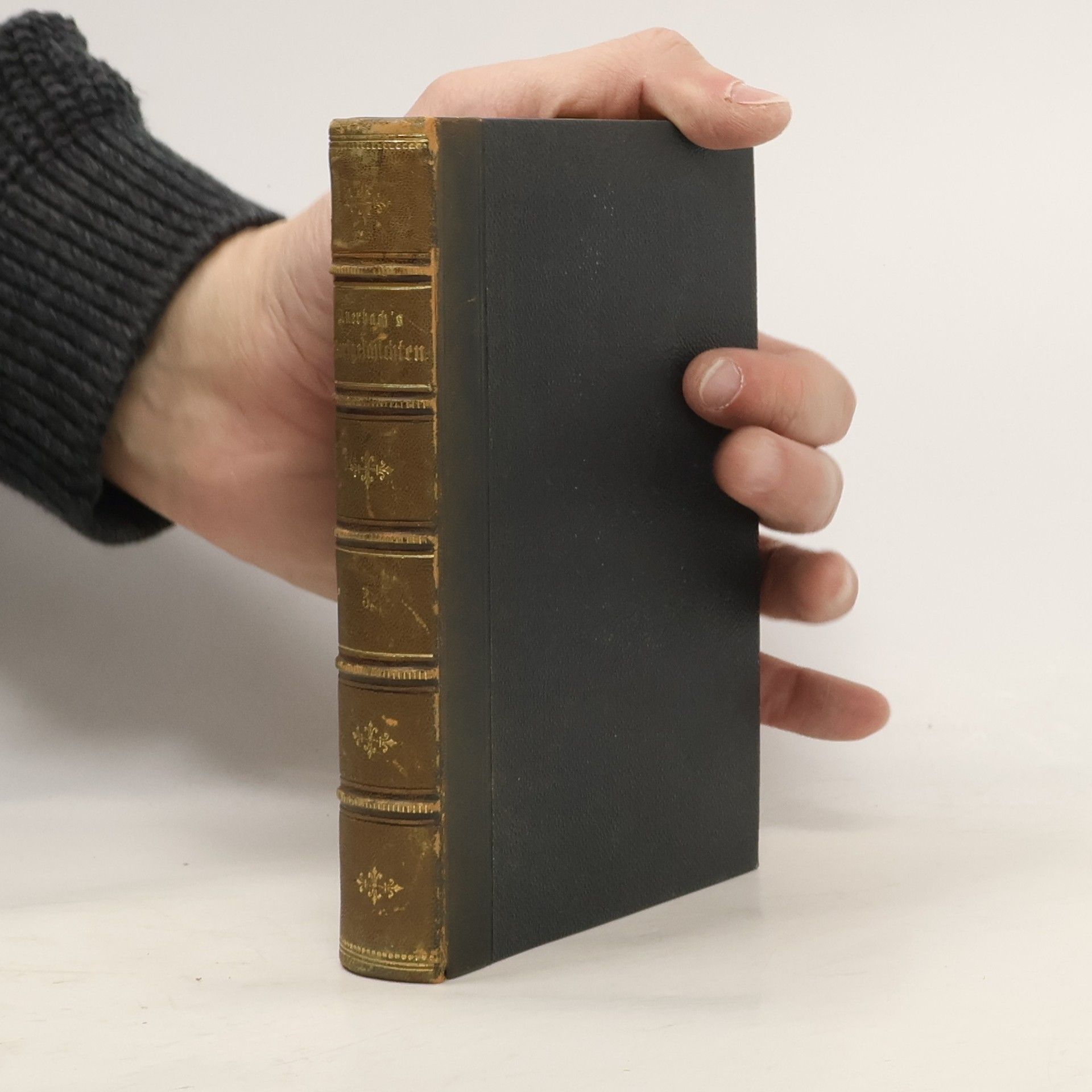 Berthold Auerbach Schwarzwälder Dorfgeschichten 3