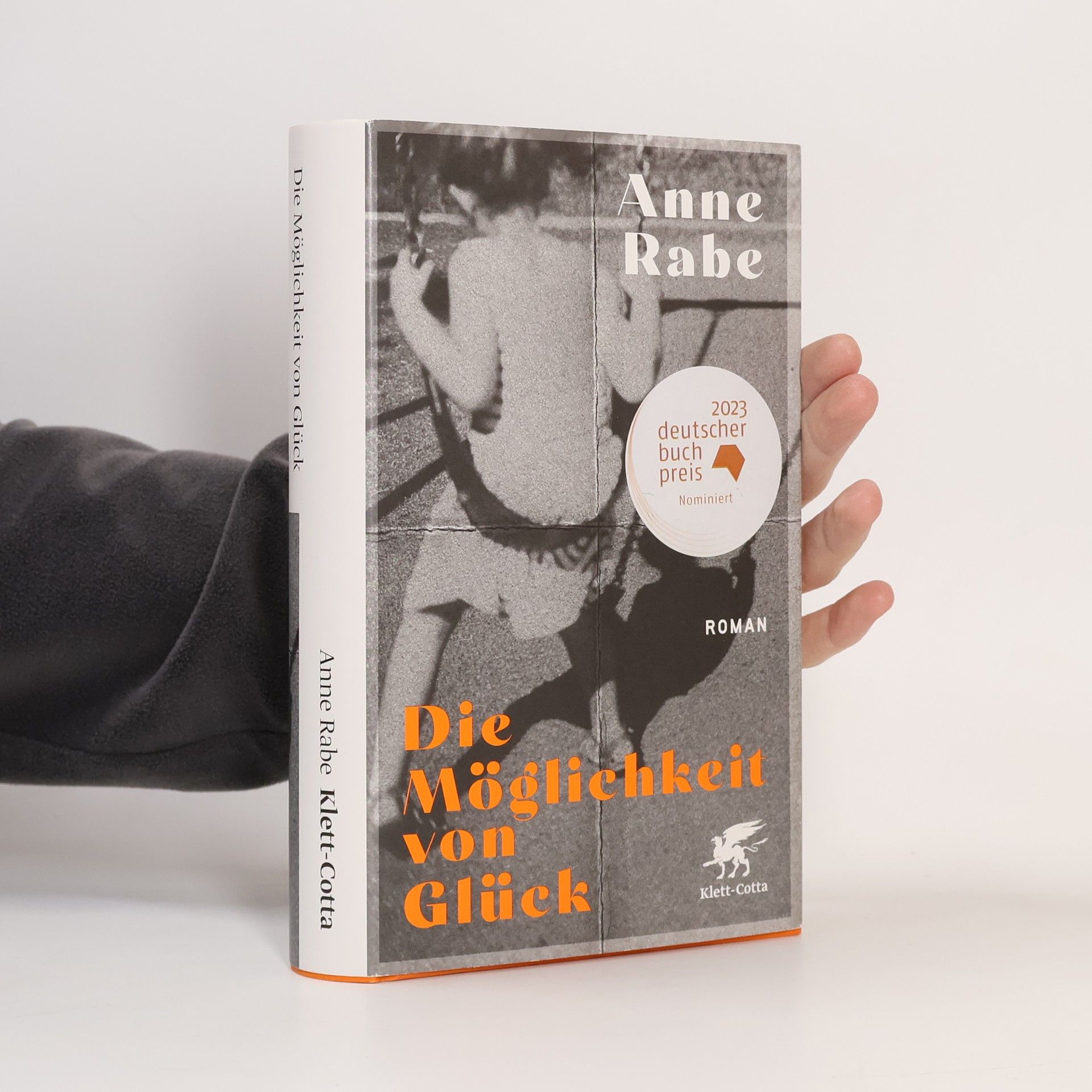 Anne Rabe Die Möglichkeit von Glück