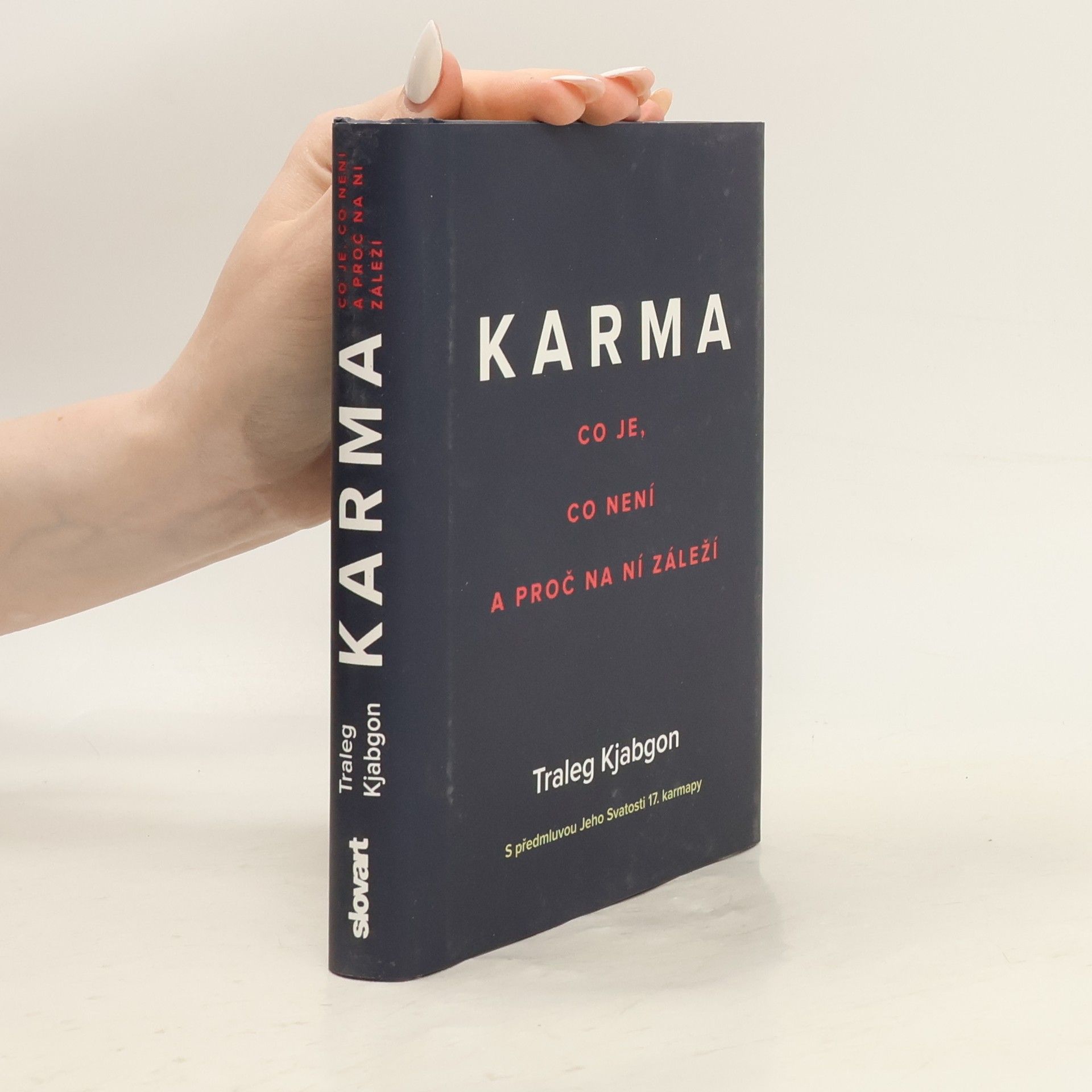 Traleg Kjabgon Karma: Co je, co není a proč na ní záleží