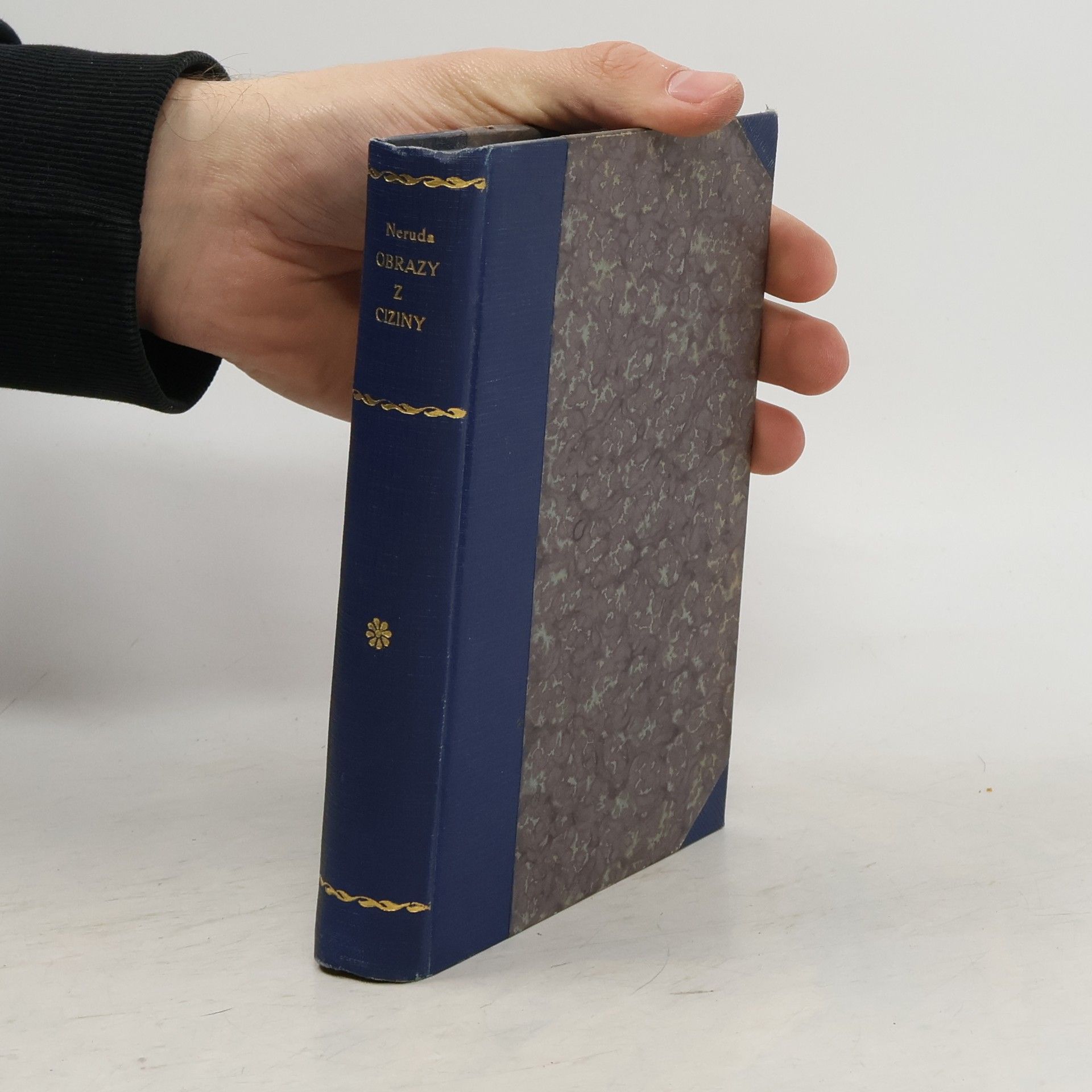 Jan Neruda Obrazy z ciziny