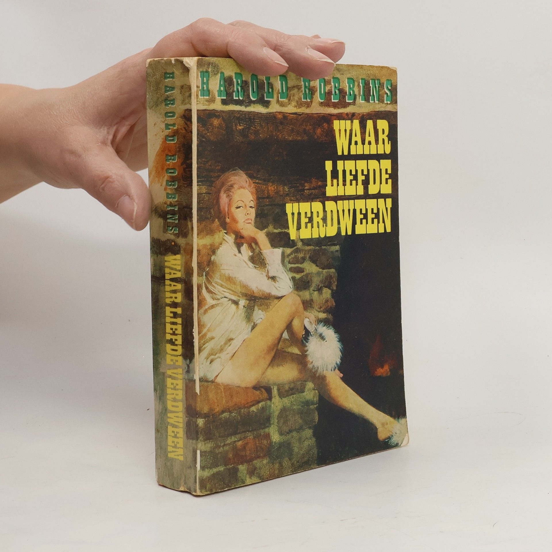 Harold Robbins Waar liefde verdween