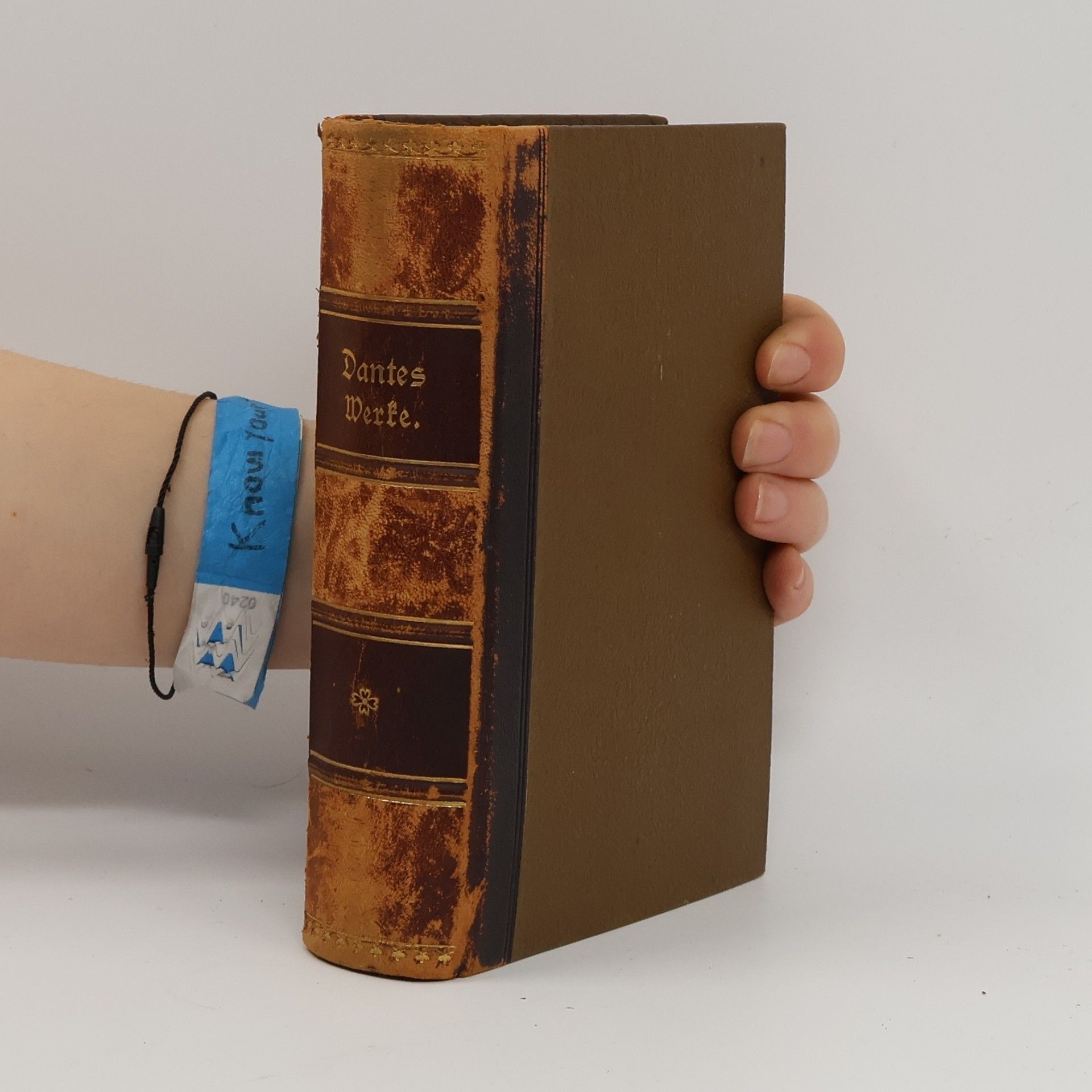 Richard Boozmann Dantes Werke