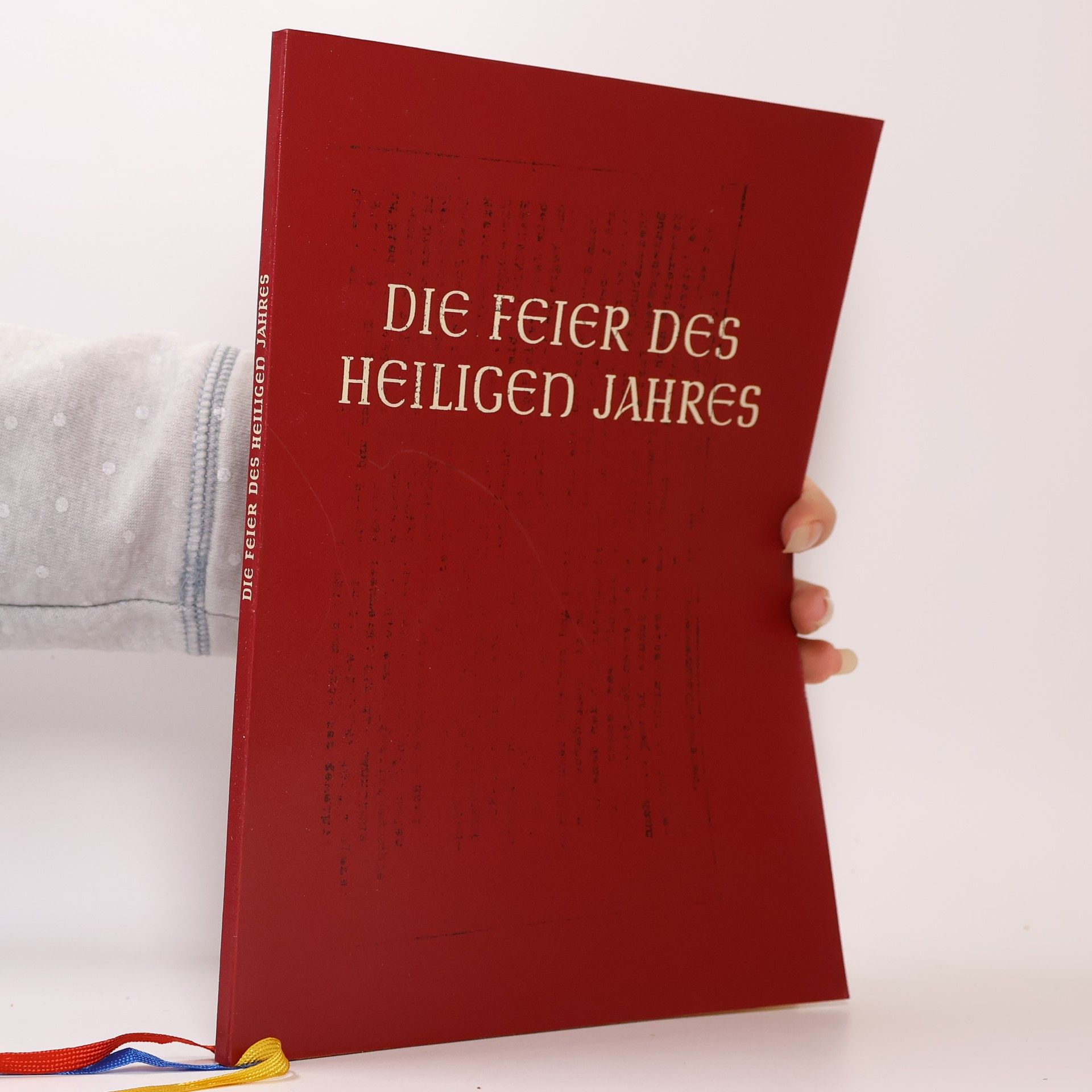 Die Feier des Heiligen Jahres in den katholischen Bistümern des deutschen Sprachgebiets
