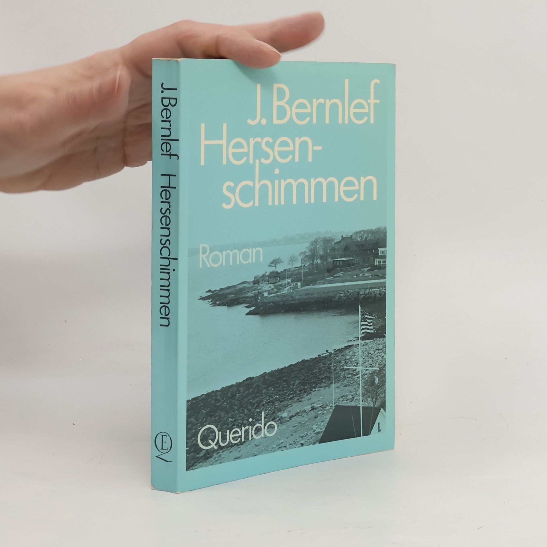 J. Bernlef Hersenschimmen