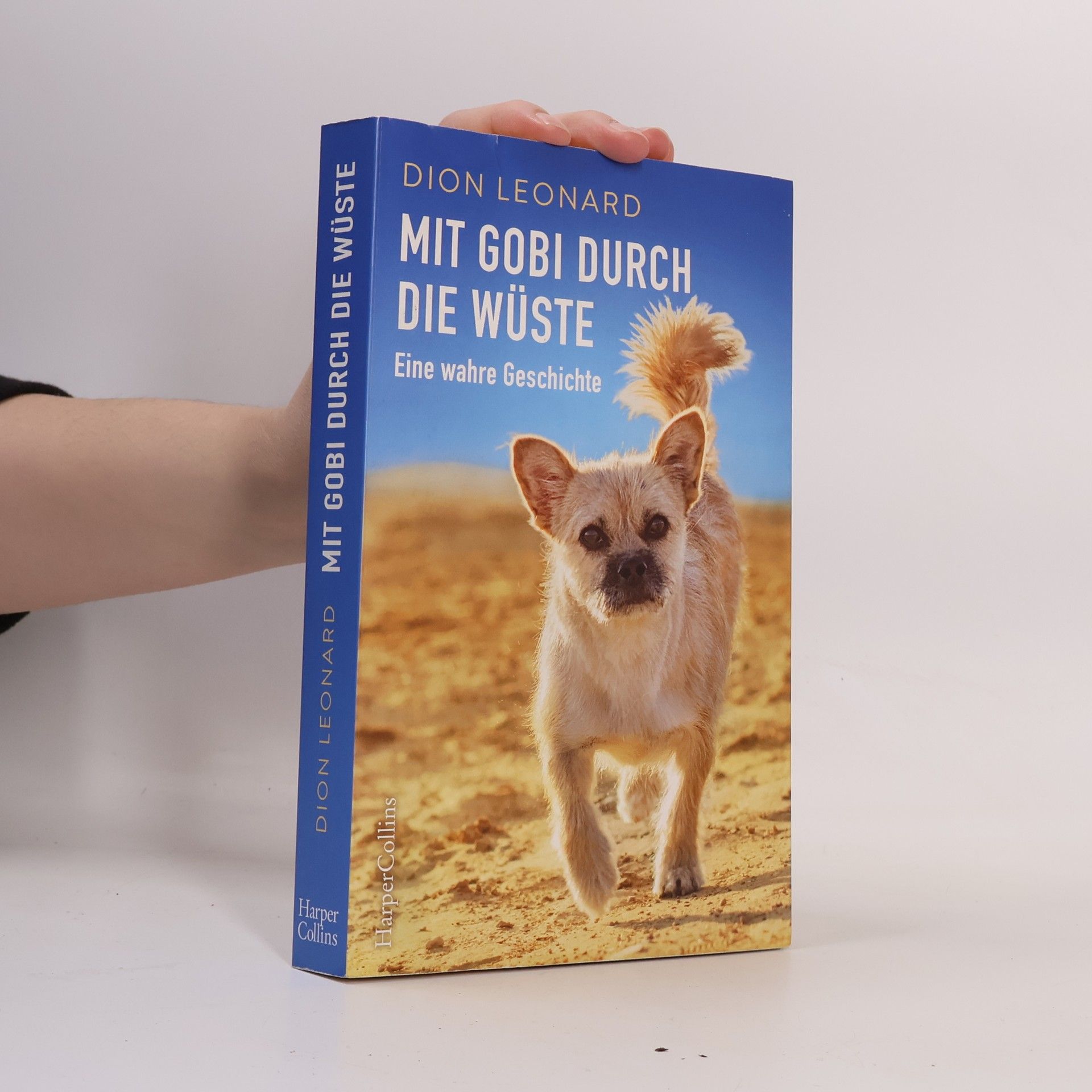 Dion Leonard Mit Gobi durch die Wüste