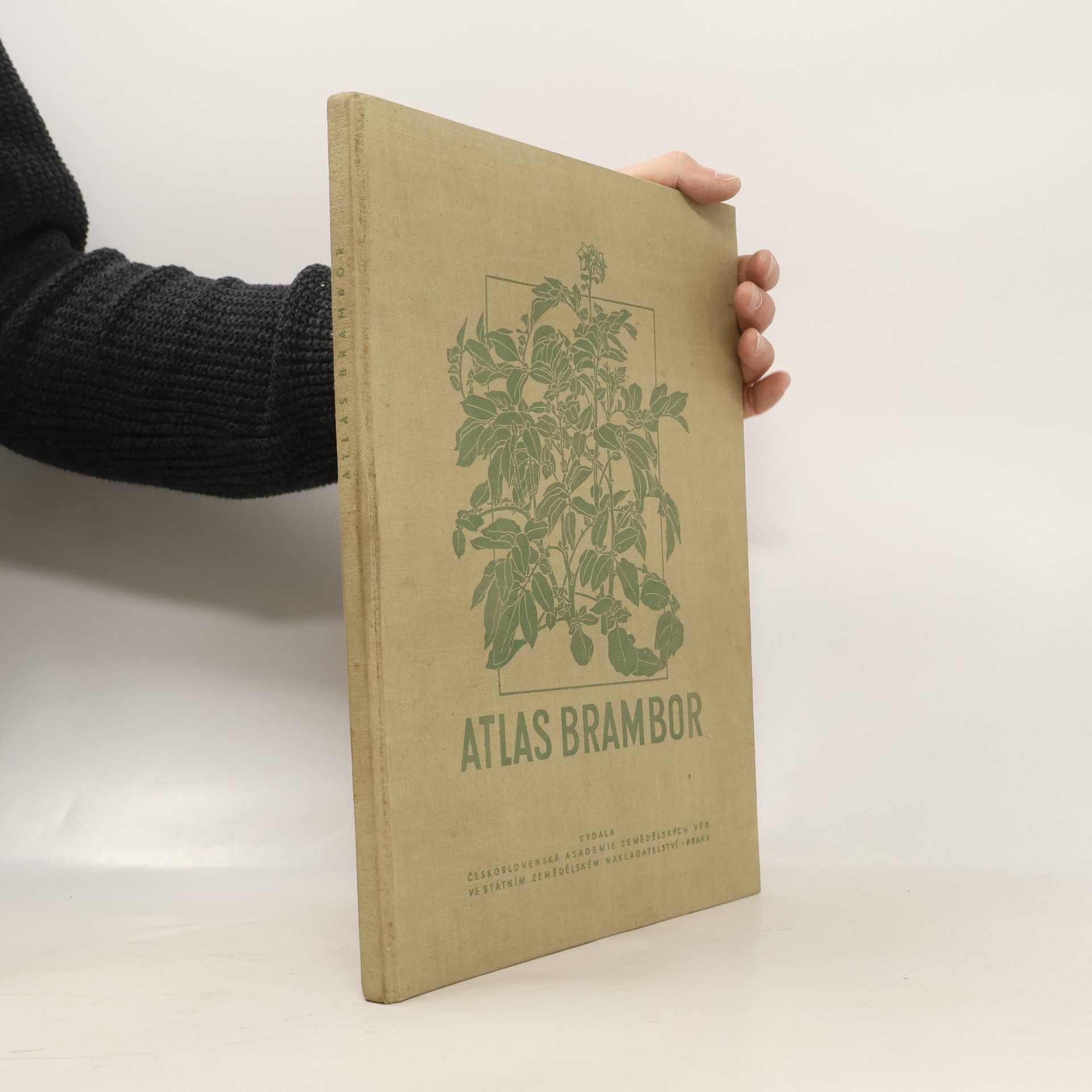 František Novák Atlas brambor