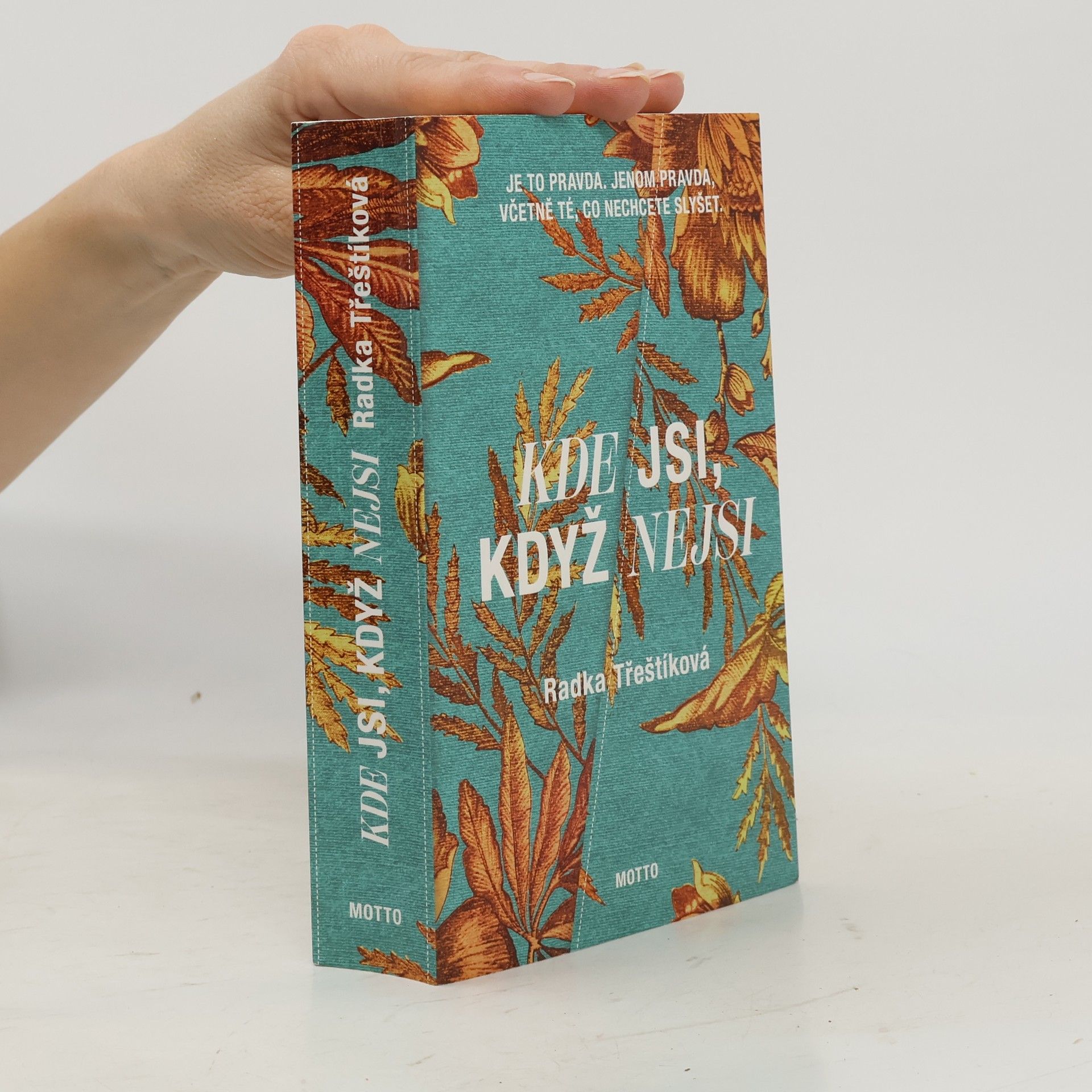 Radka Třeštíková Kde jsi, když nejsi