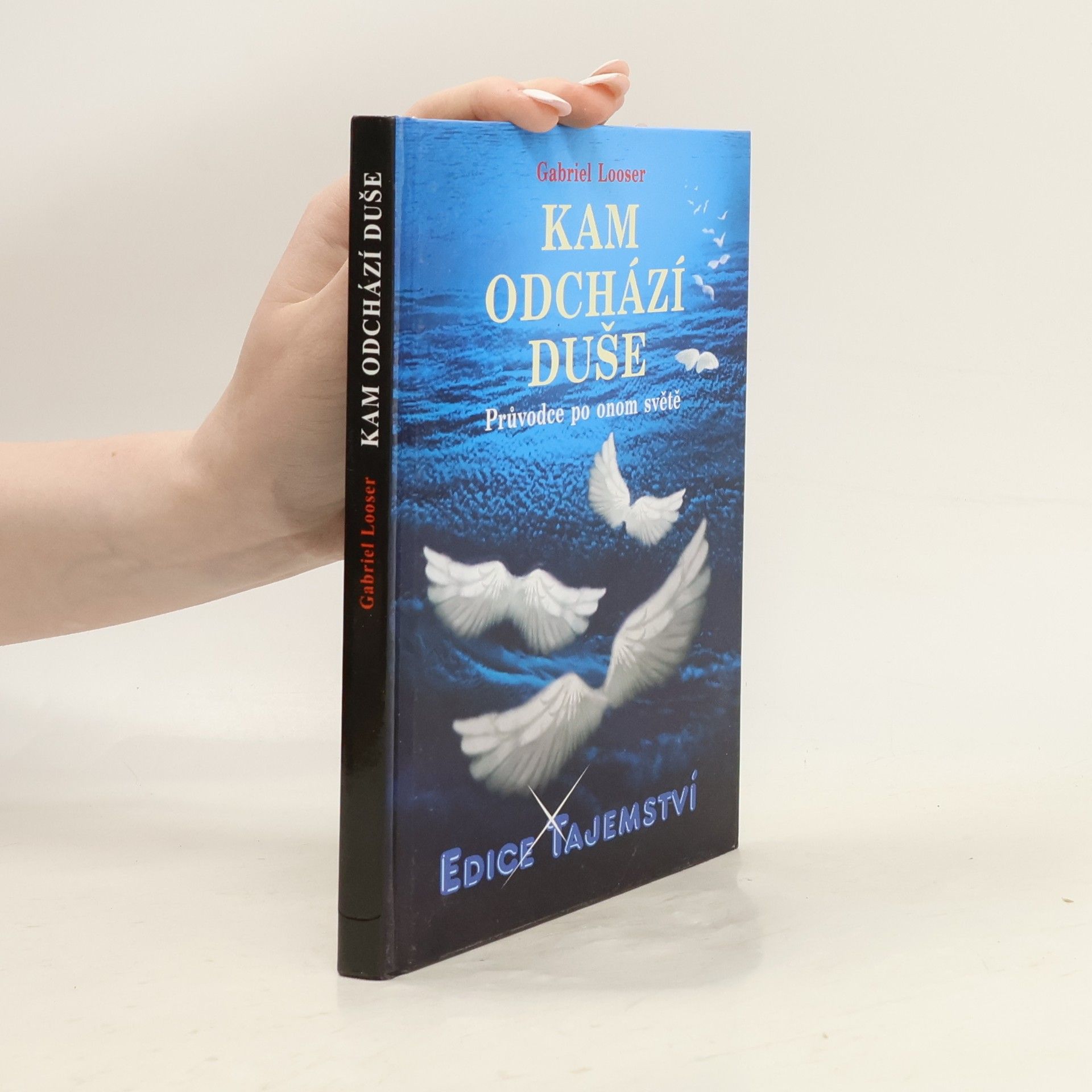 Gabriel Looser Kam odchází duše: průvodce po onom světě