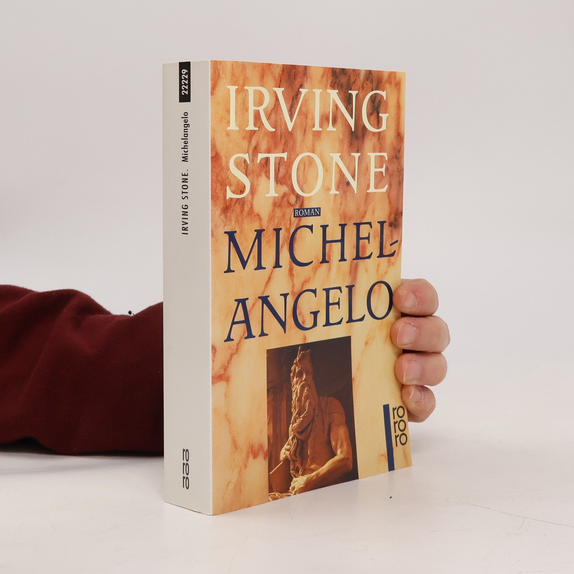 Irving Stone Michelangelo