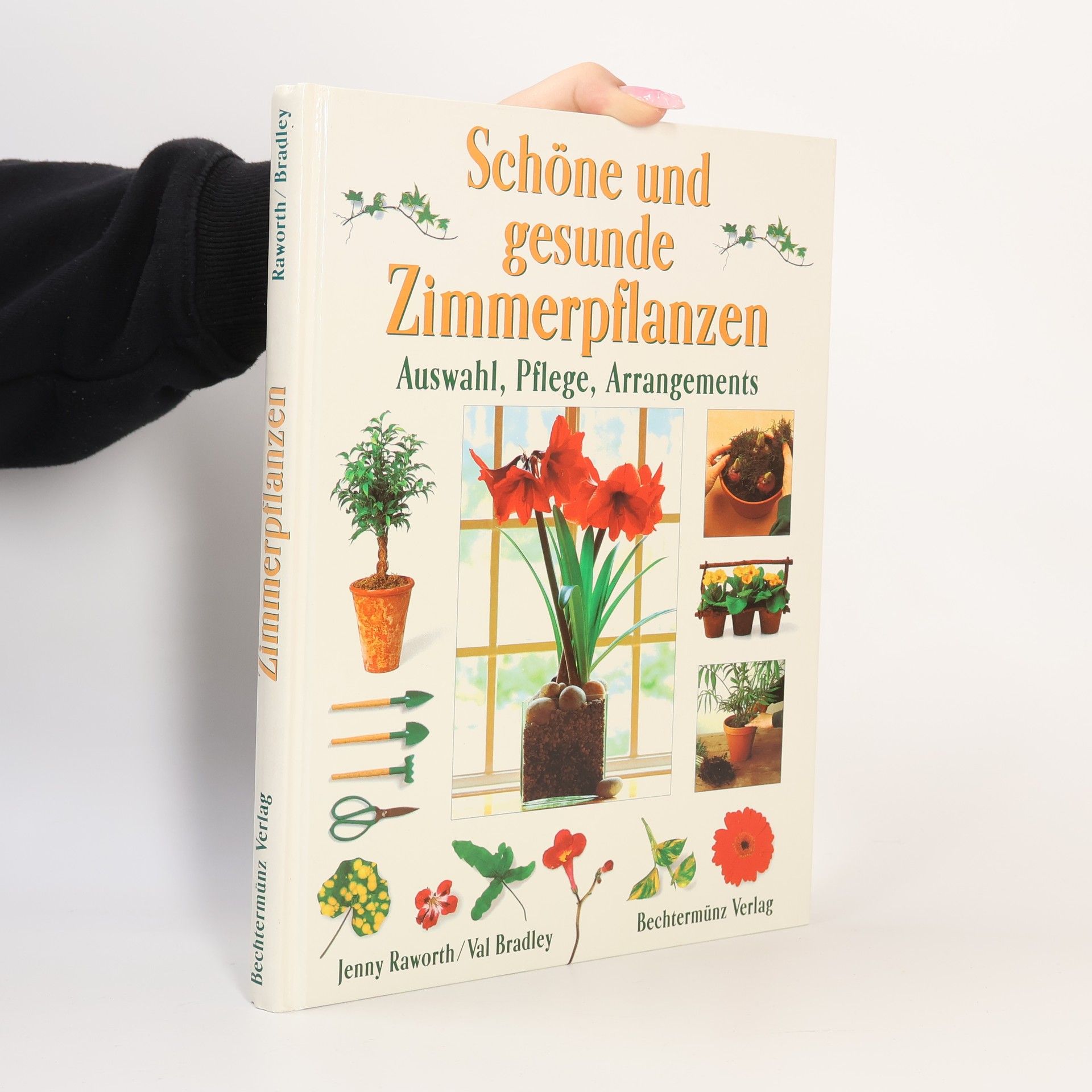 Various authors Schöne und gesunde Zimmerpflanzen
