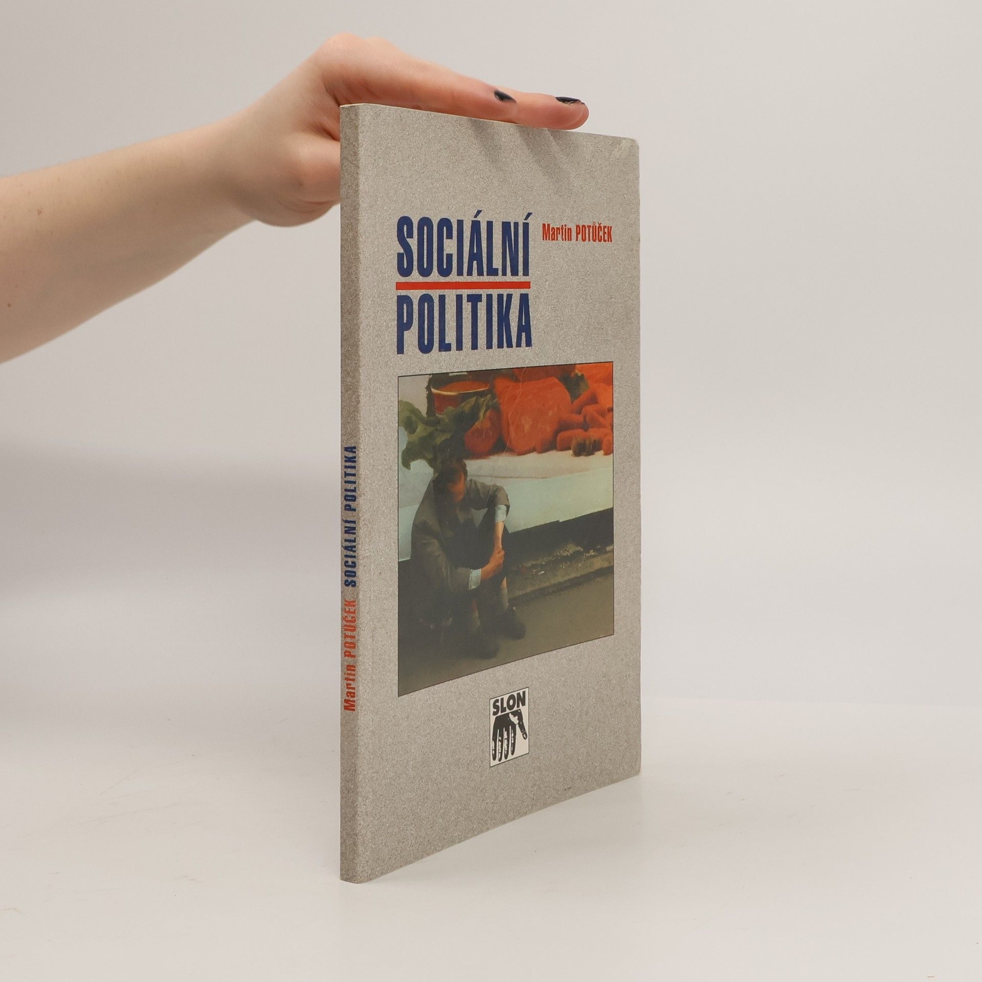 Martin Potůček Sociální politika