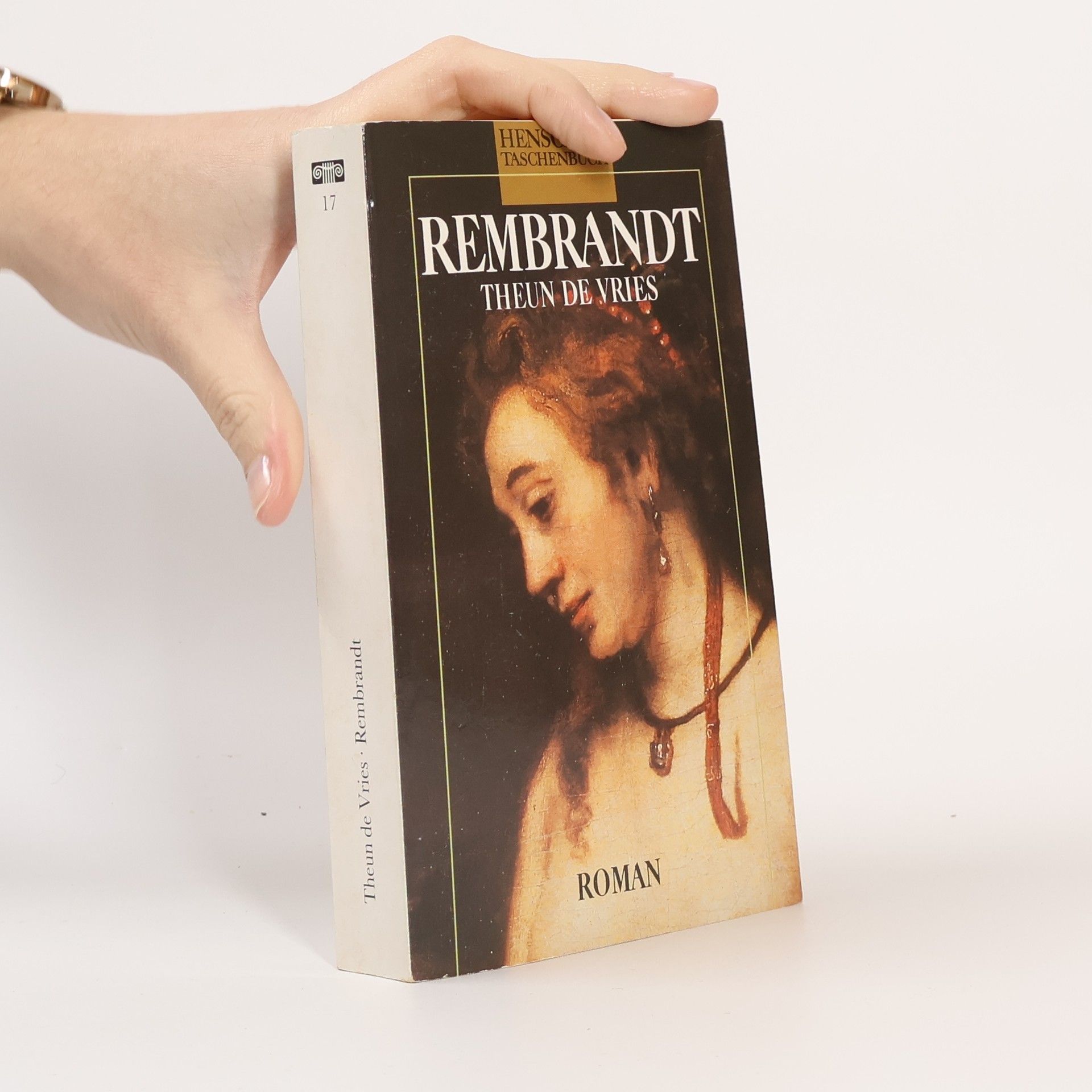 Theun de Vries Rembrandt
