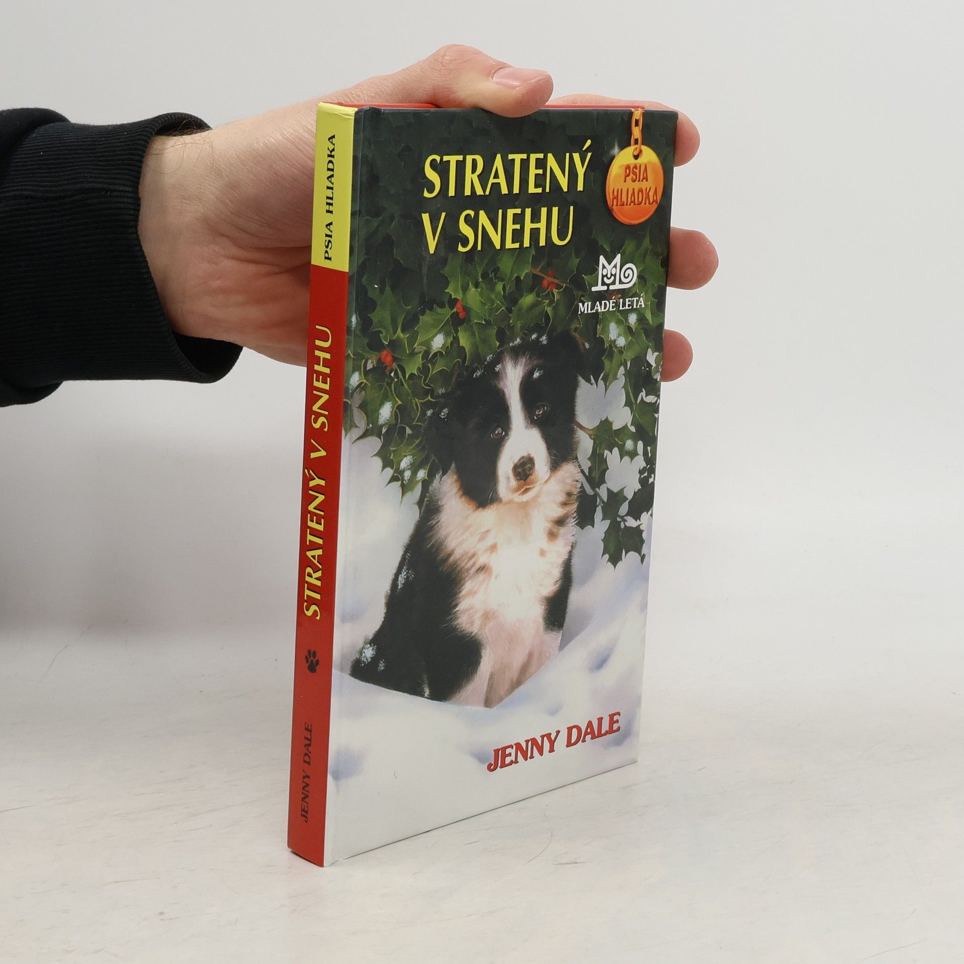 Linda Chapman Stratený v snehu