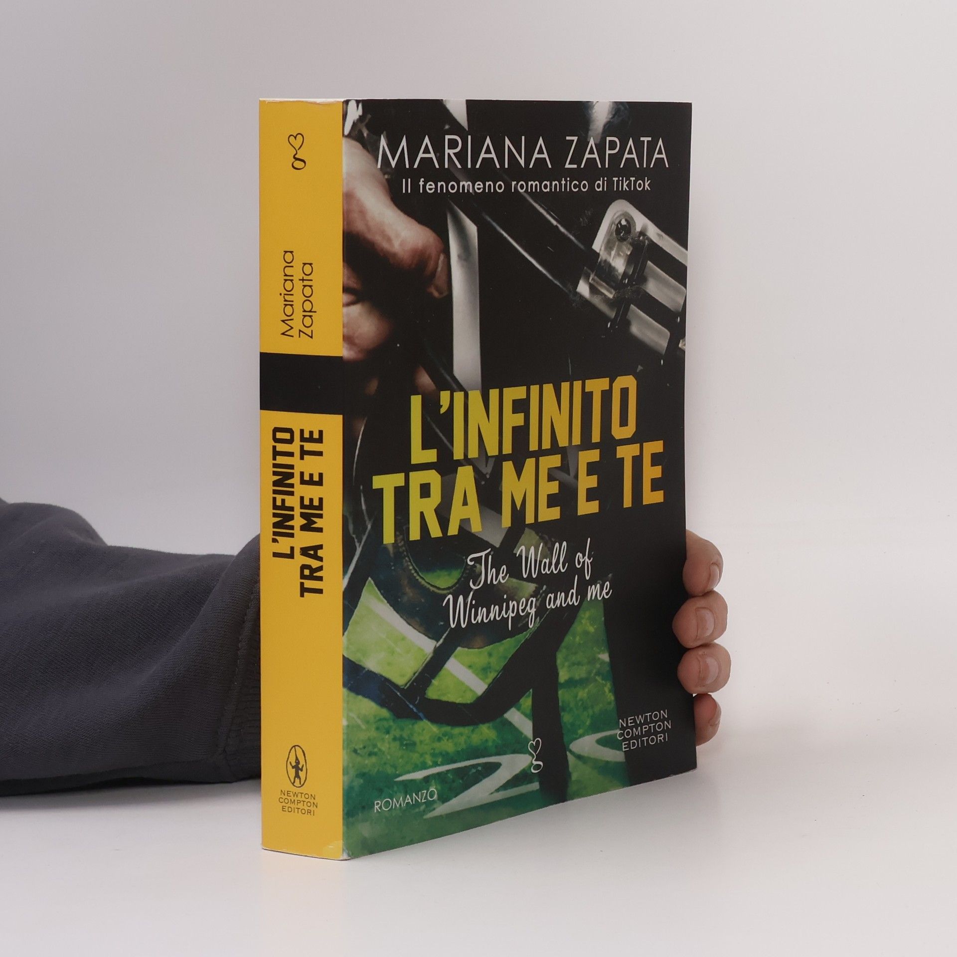 Mariafelicia Maione L'infinito tra me e te. The Wall of Winnipeg and me (Anagramma)