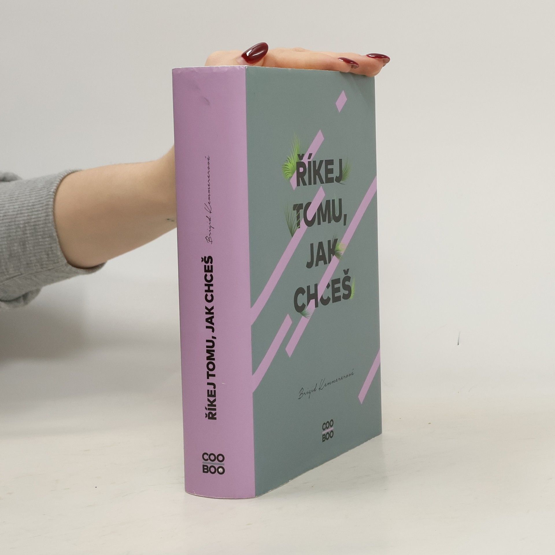 Brigid Kemmerer Říkej tomu, jak chceš