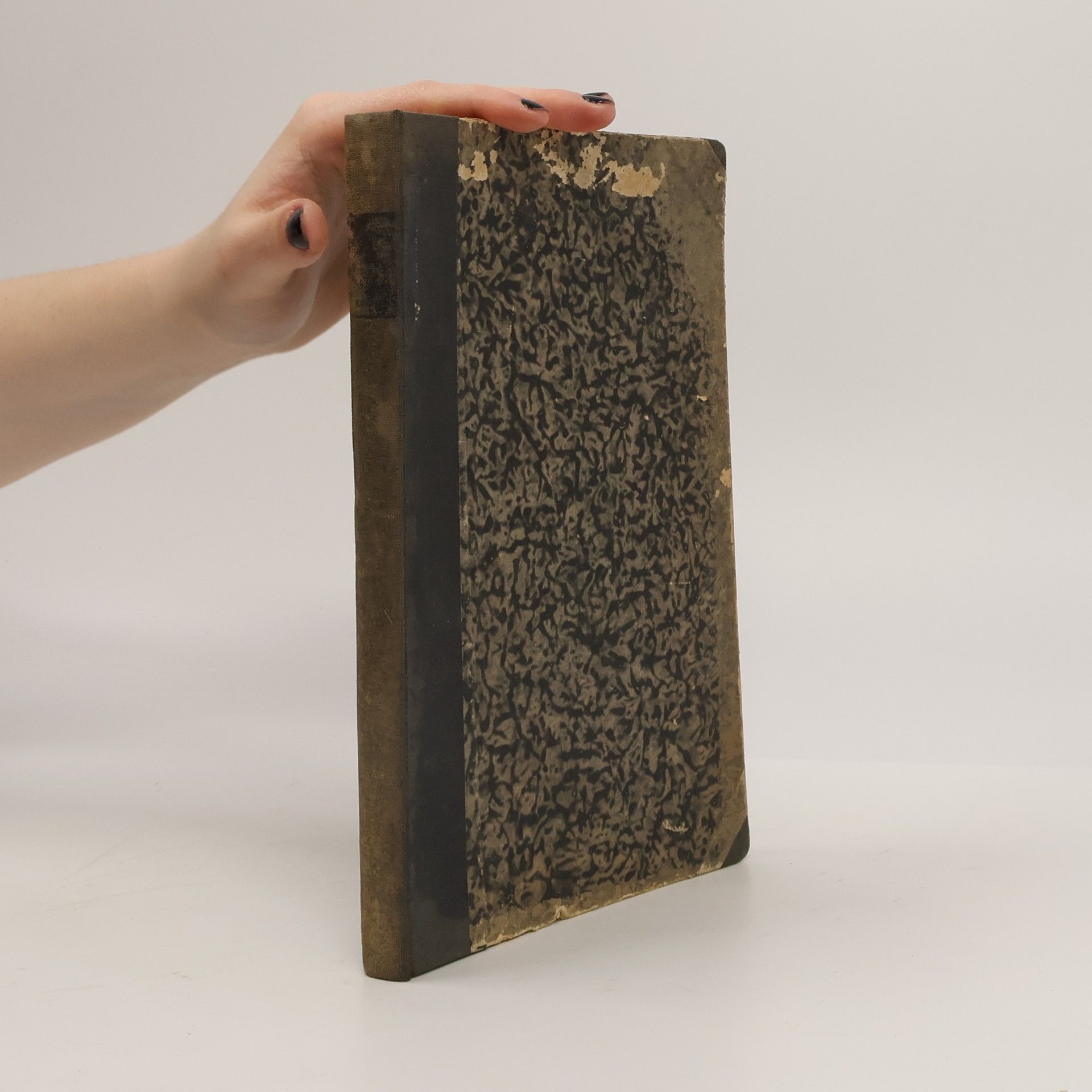 Karel Čapek Hovory S T.G. Masarykem