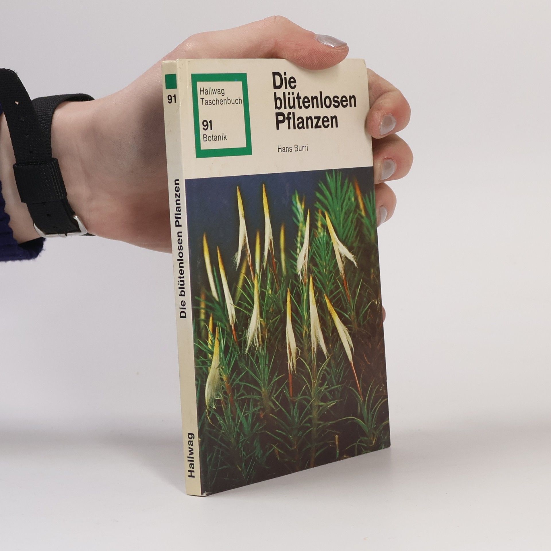 Hans Burri Die blütenlosen Pflanzen