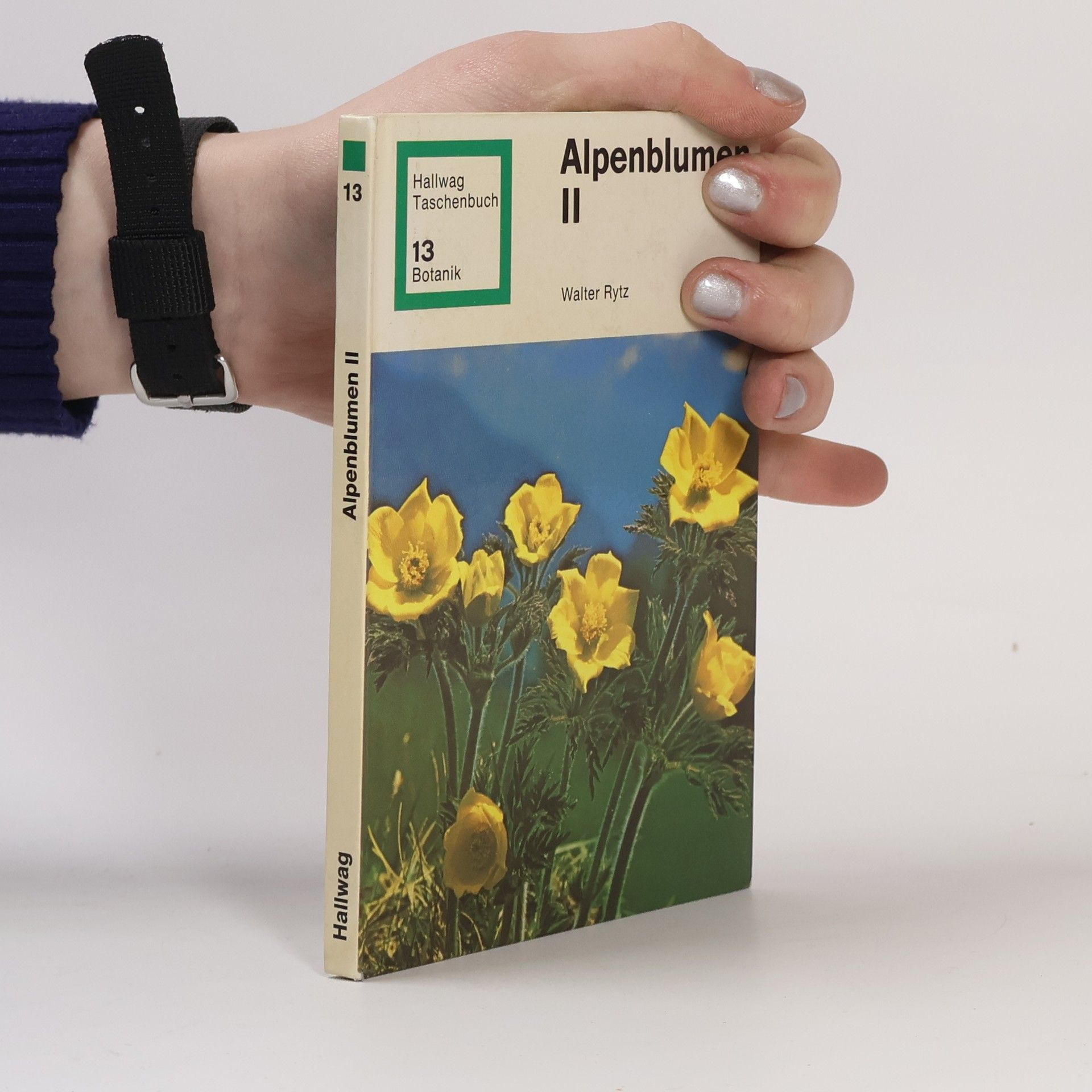 Walter Rytz Alpenblumen II. Botanik 13