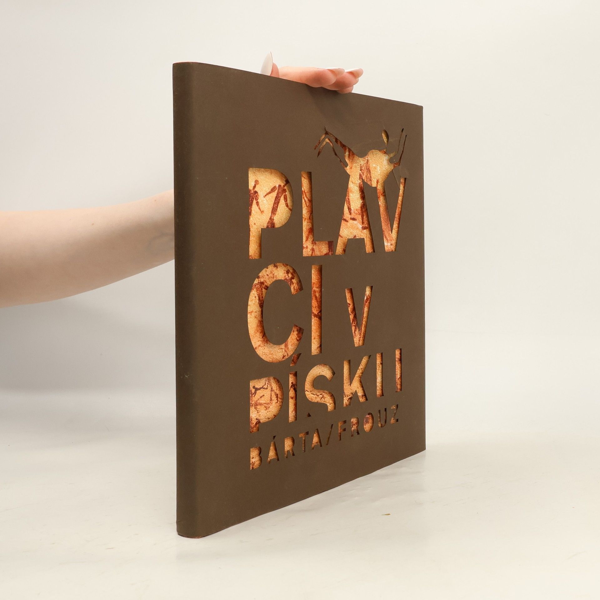 Miroslav Bárta Plavci v písku