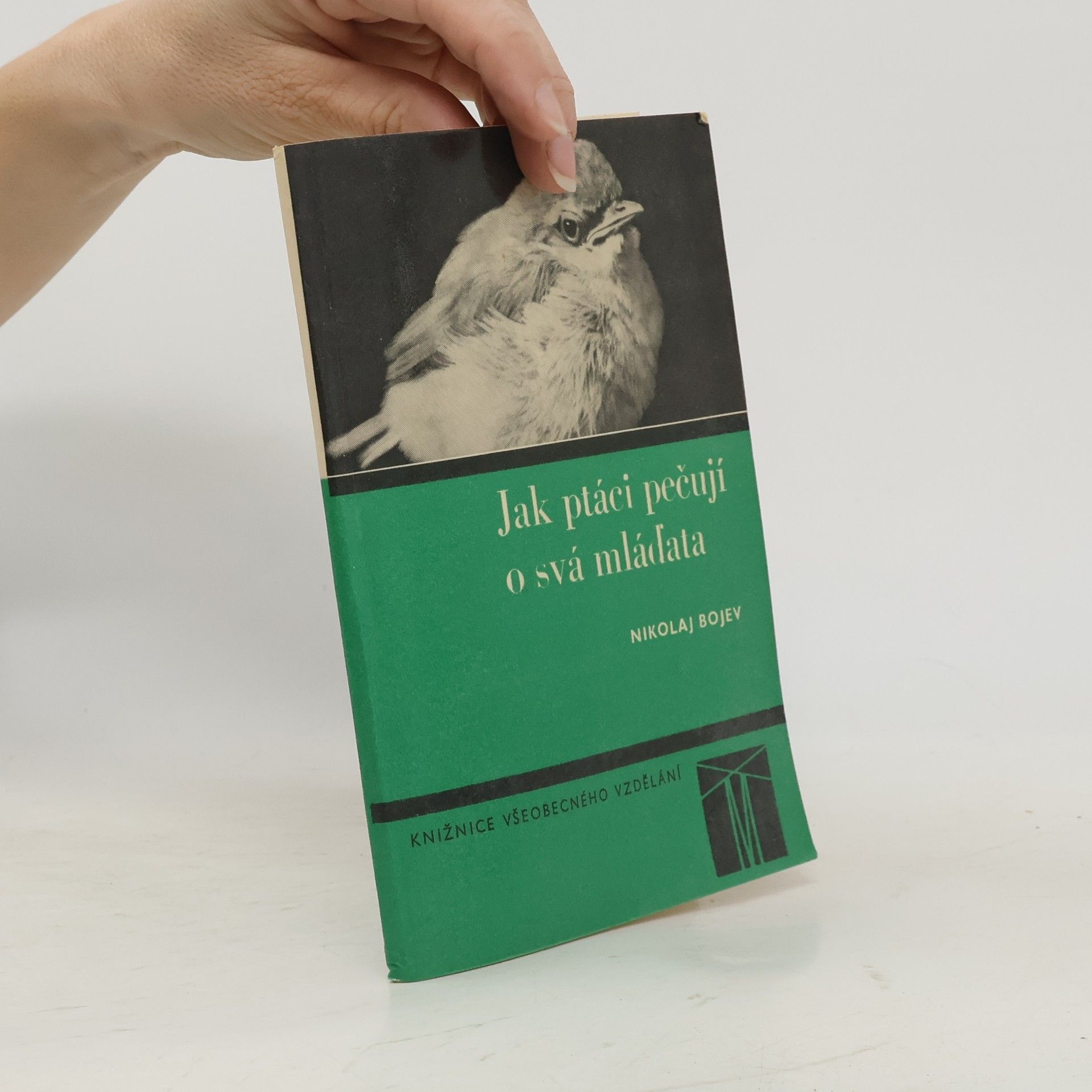 Nikolaj Bojev Jak ptáci pečují o svá mláďata