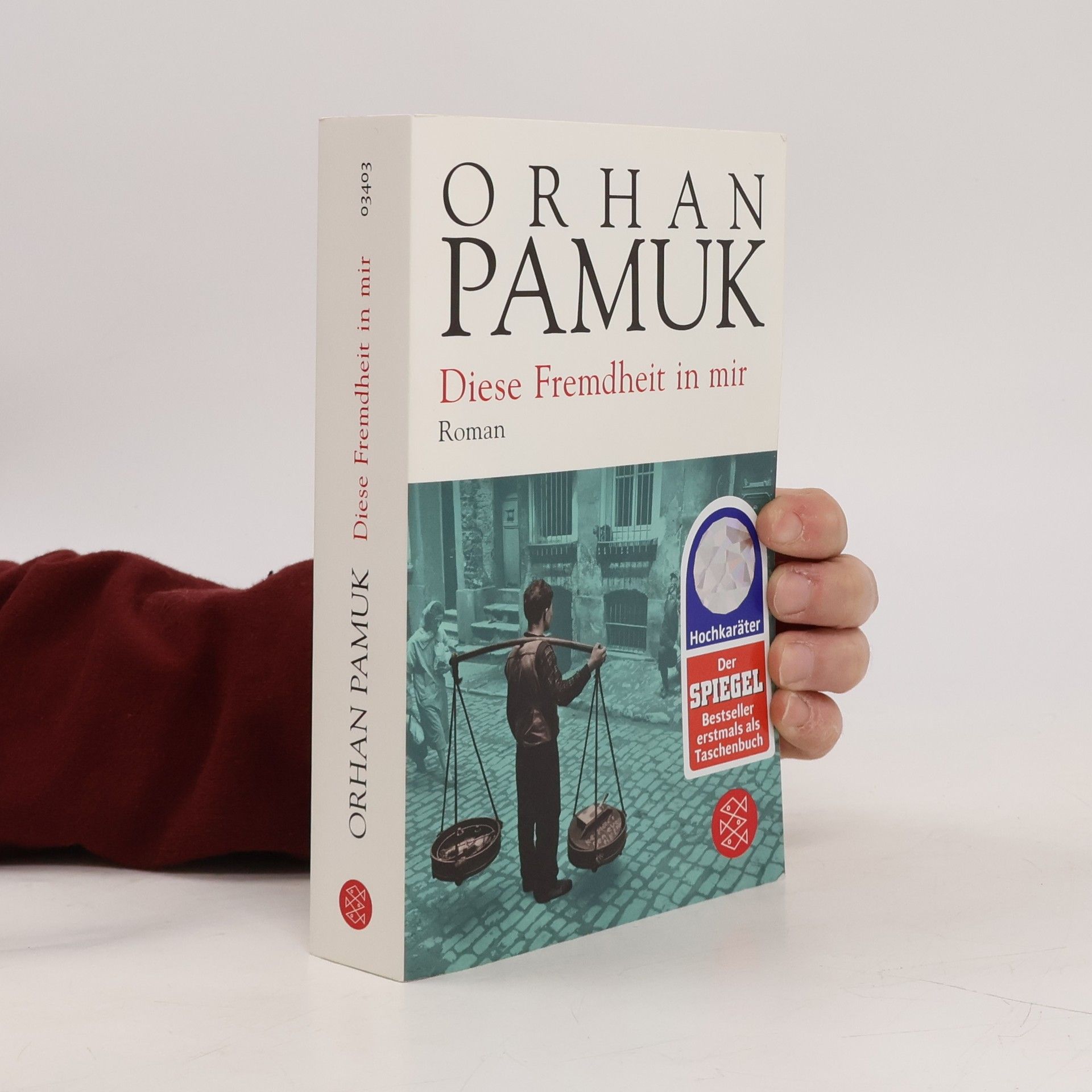 Orhan Pamuk Diese Fremdheit in mir