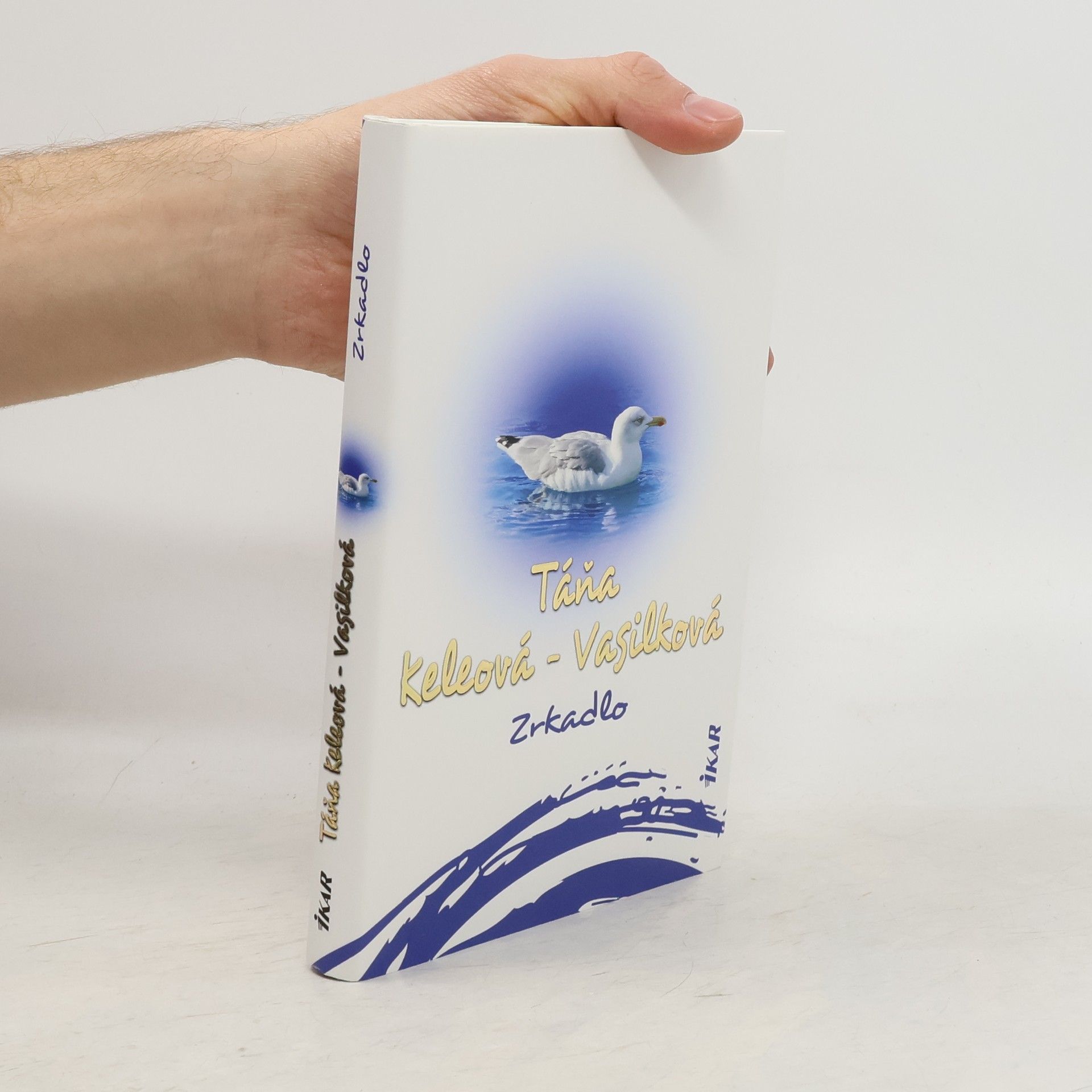 Táňa Keleová-Vasilková Zrkadlo