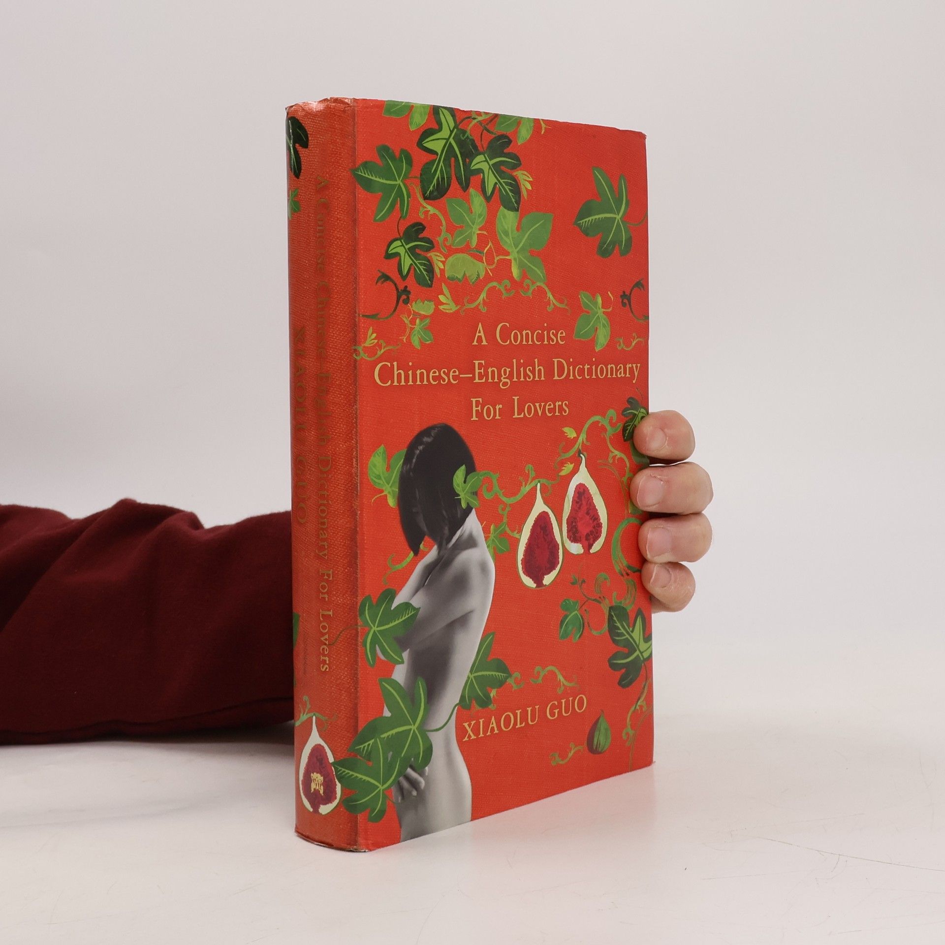 Xiaolu Guo A Concise Chinese-English Dictionary for Lovers