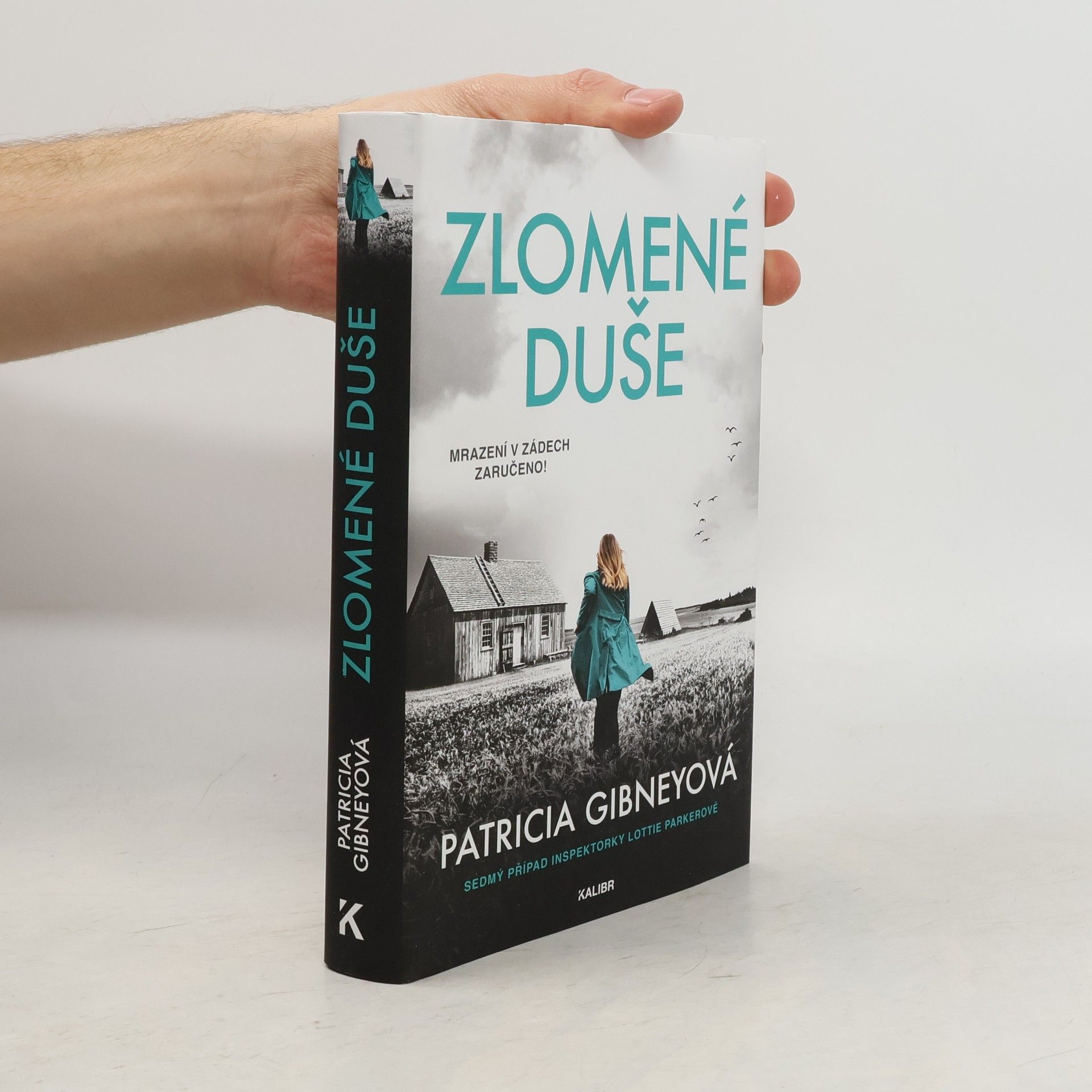 Patricia Gibney Zlomené Duše