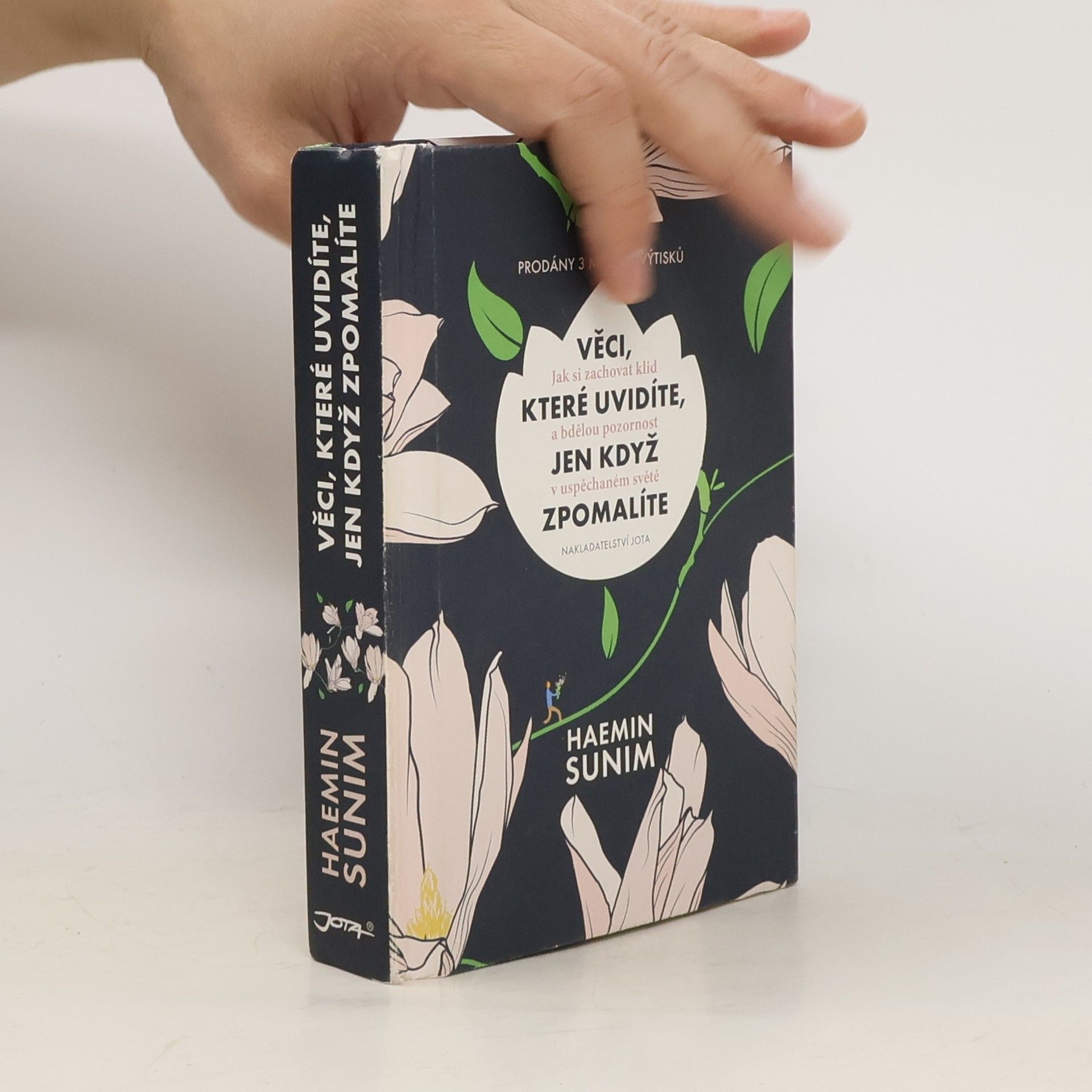 Sunim Haemin Věci, které uvidíte, jen když zpomalíte