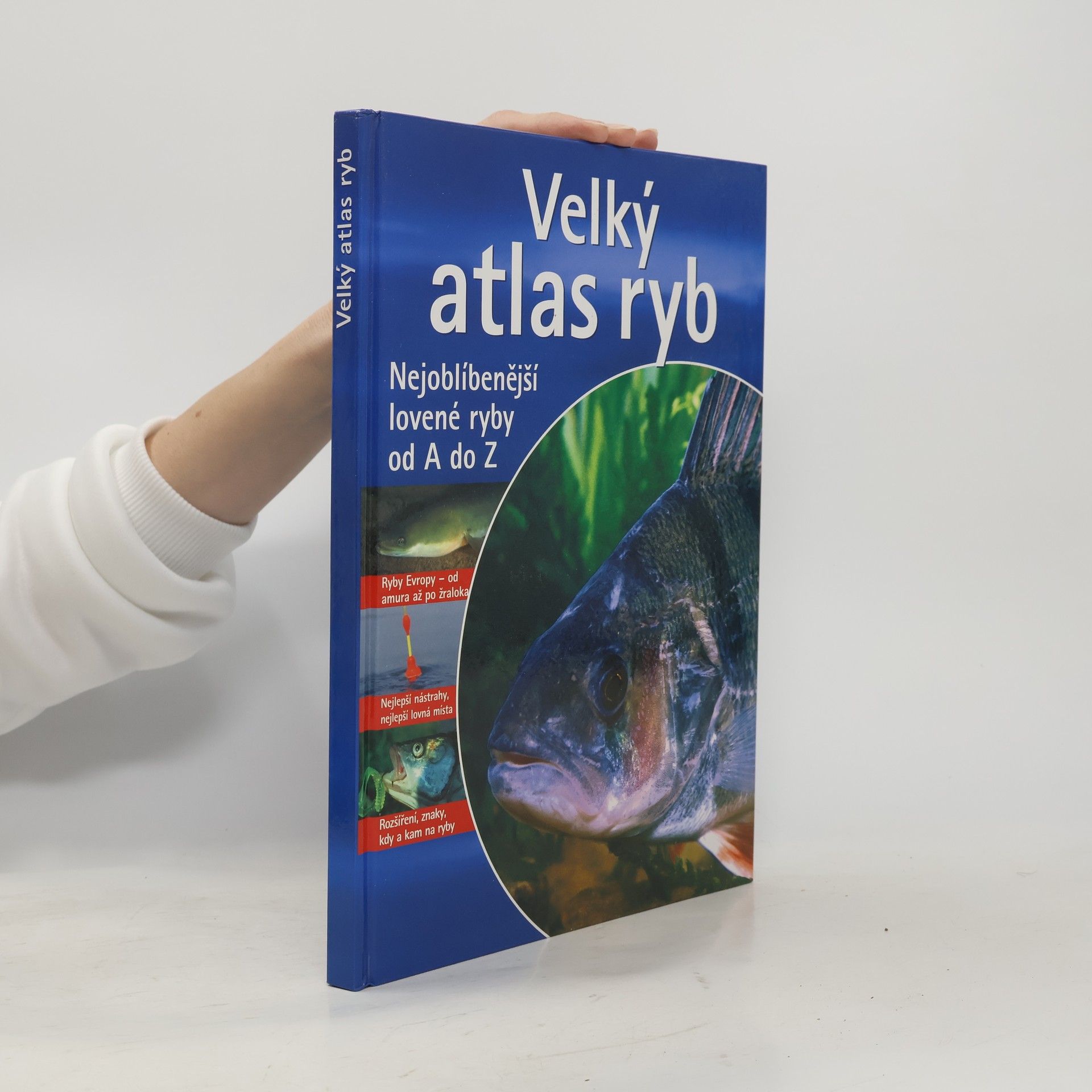 Velký atlas ryb