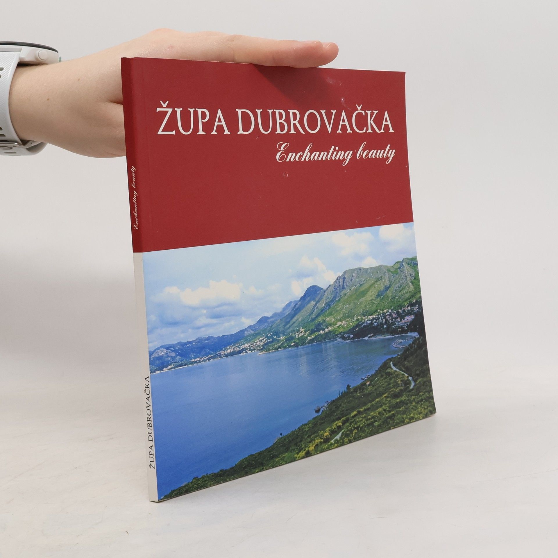 Župa dubrovačka