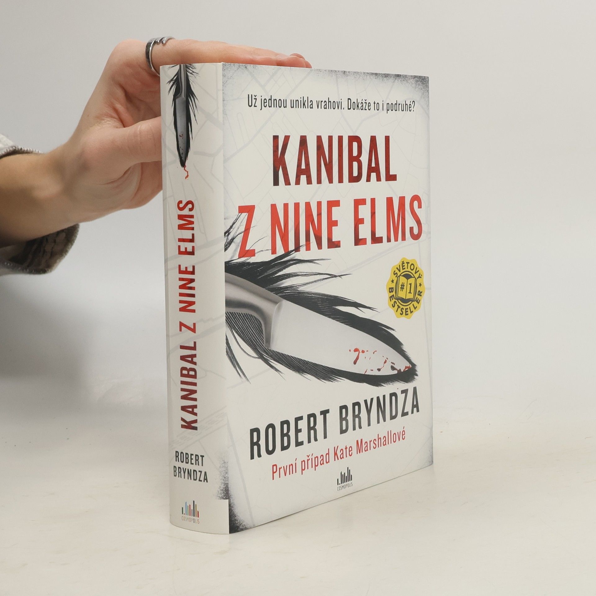 Robert Bryndza Kanibal z Nine Elms